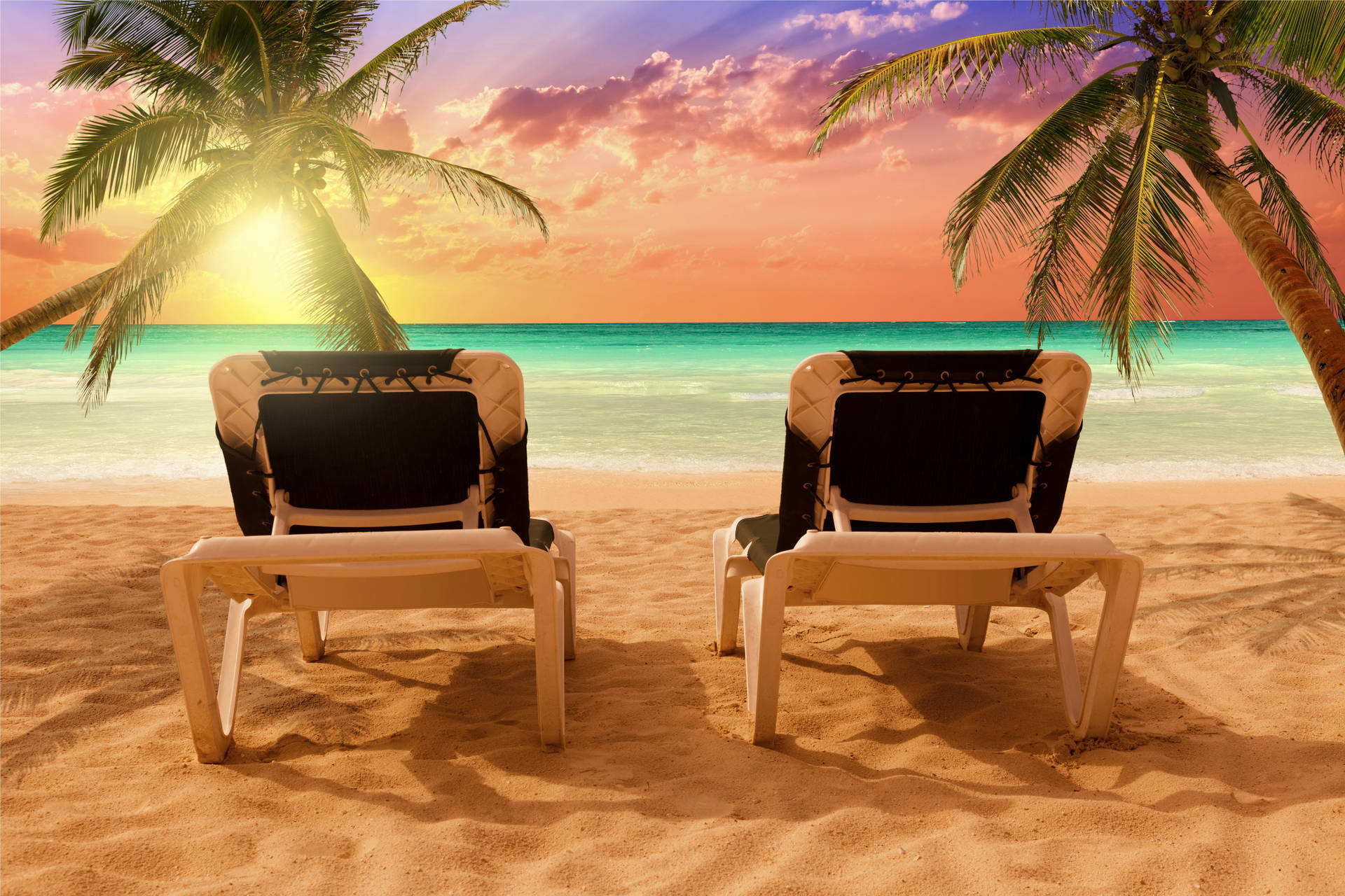 Chairs And Trees Beach Desktop Background