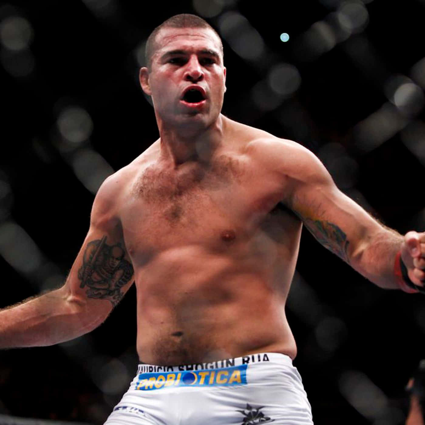 Champion Mauricio Rua Aka Shogun Background