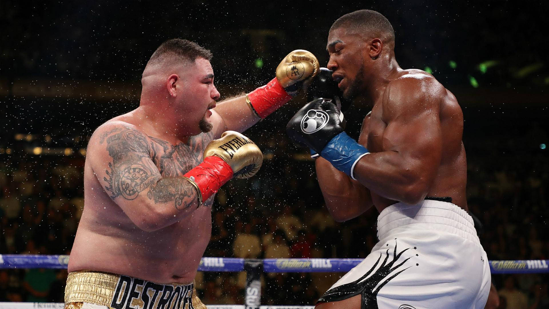 Champion Stance - Andy Ruiz In Golden Gloves