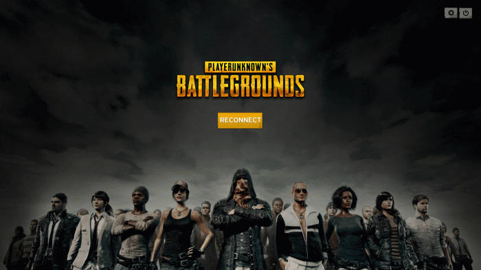 Characters Lined Up Pubg Banner