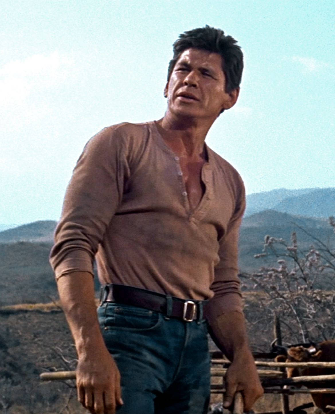 Charles Bronson In The Magnificent Seven Background