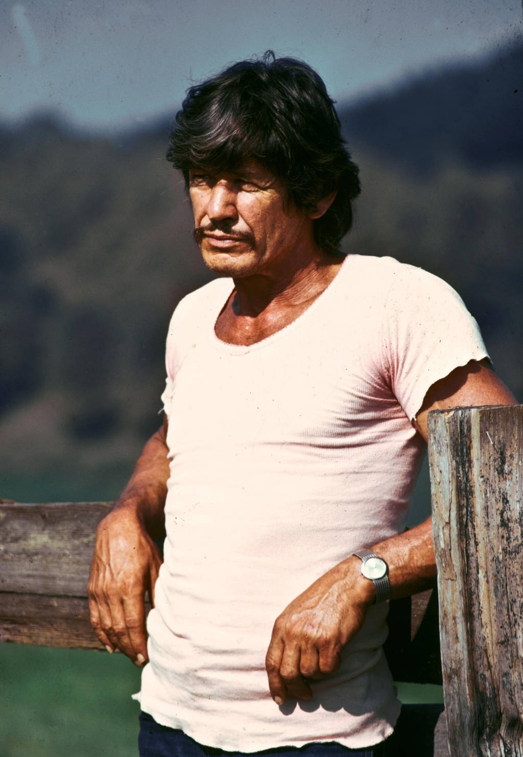 Charles Bronson, The Iconic Film Star Of The '70s