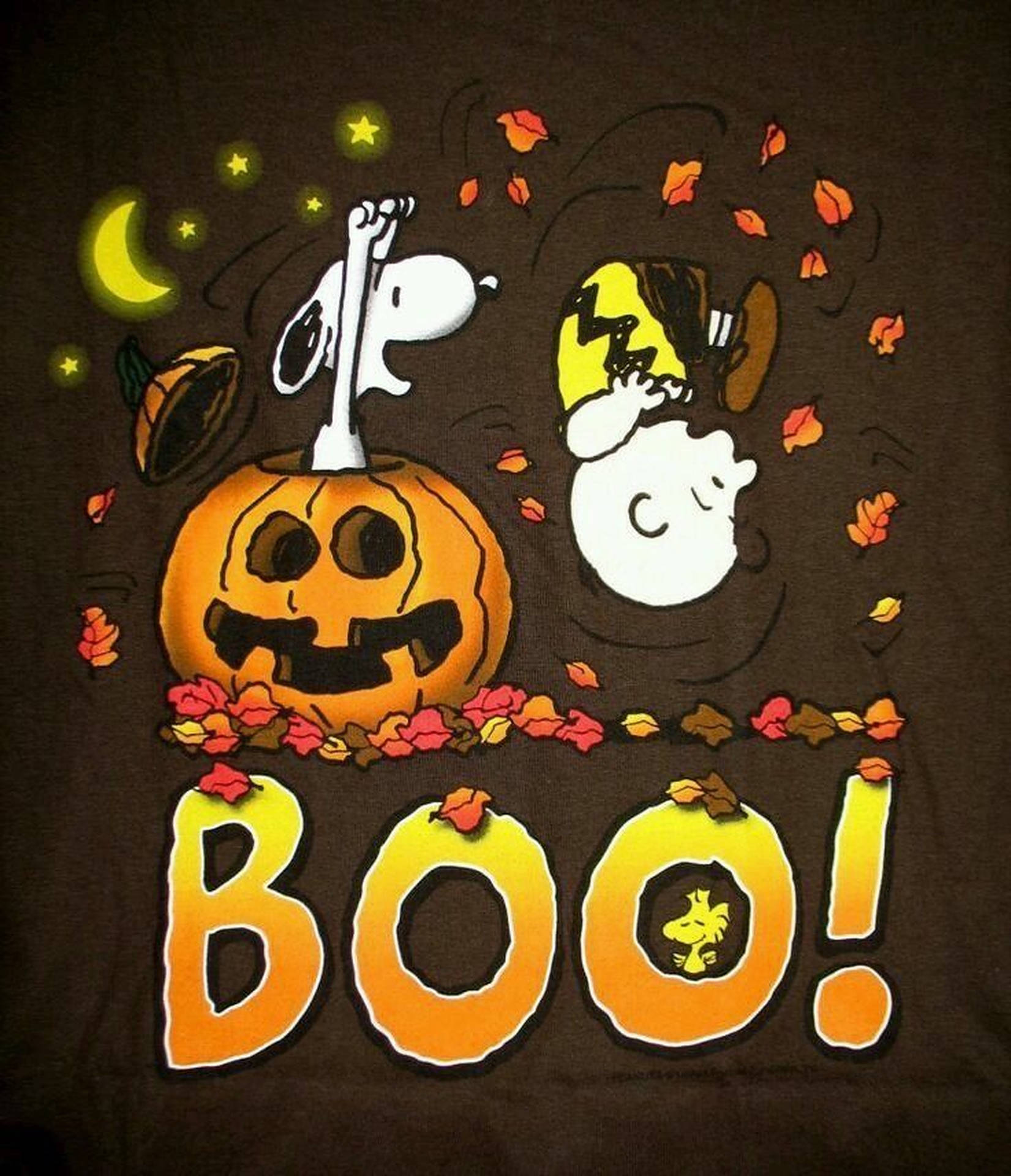 Charlie Brown And Snoopy Halloween Art