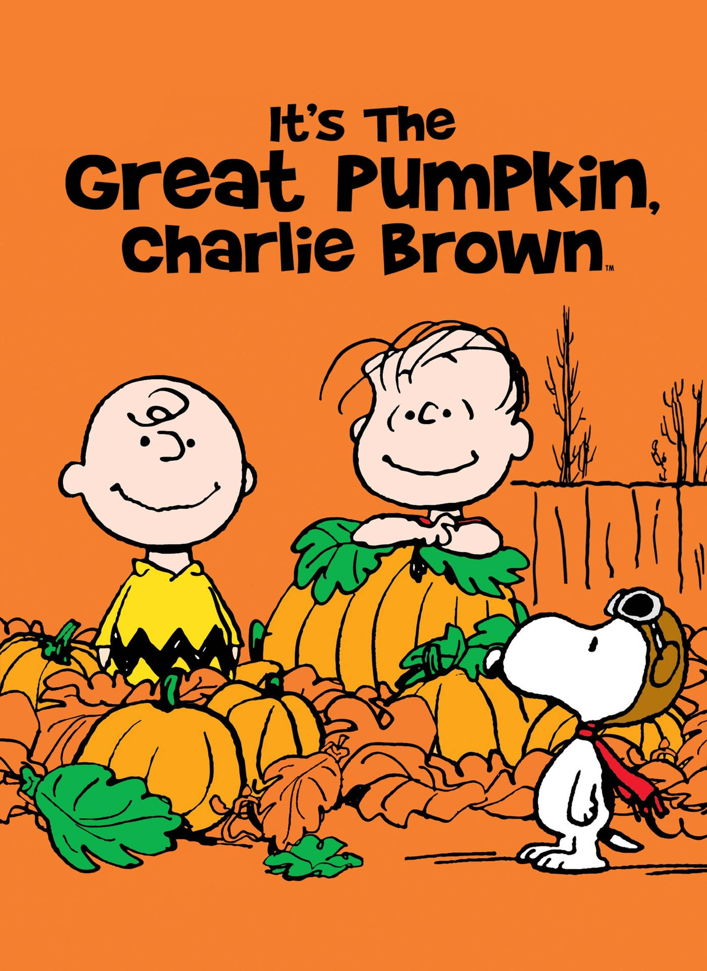 Charlie Brown Halloween Orange Background Background