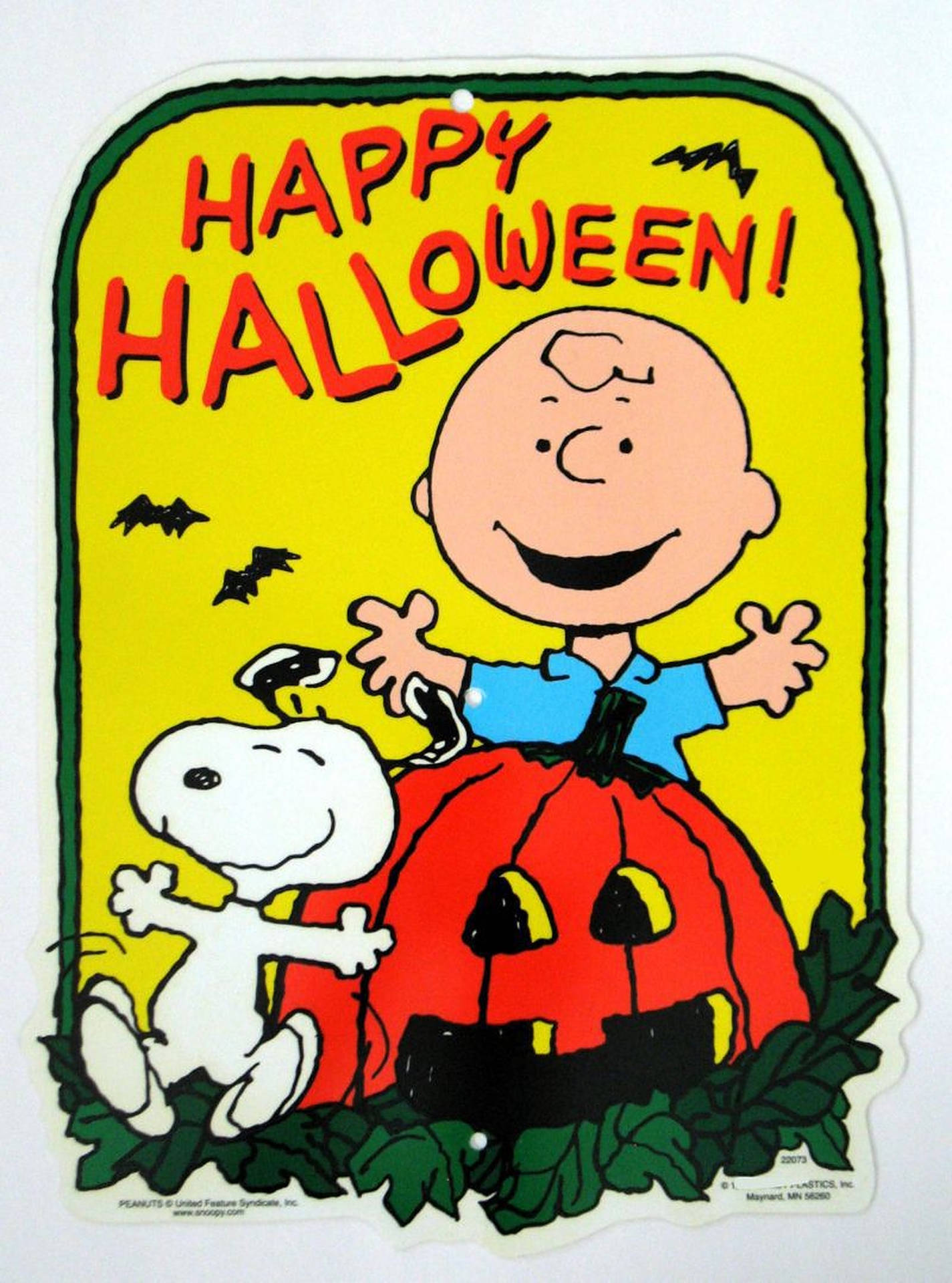 Charlie Brown Halloween With Snoopy