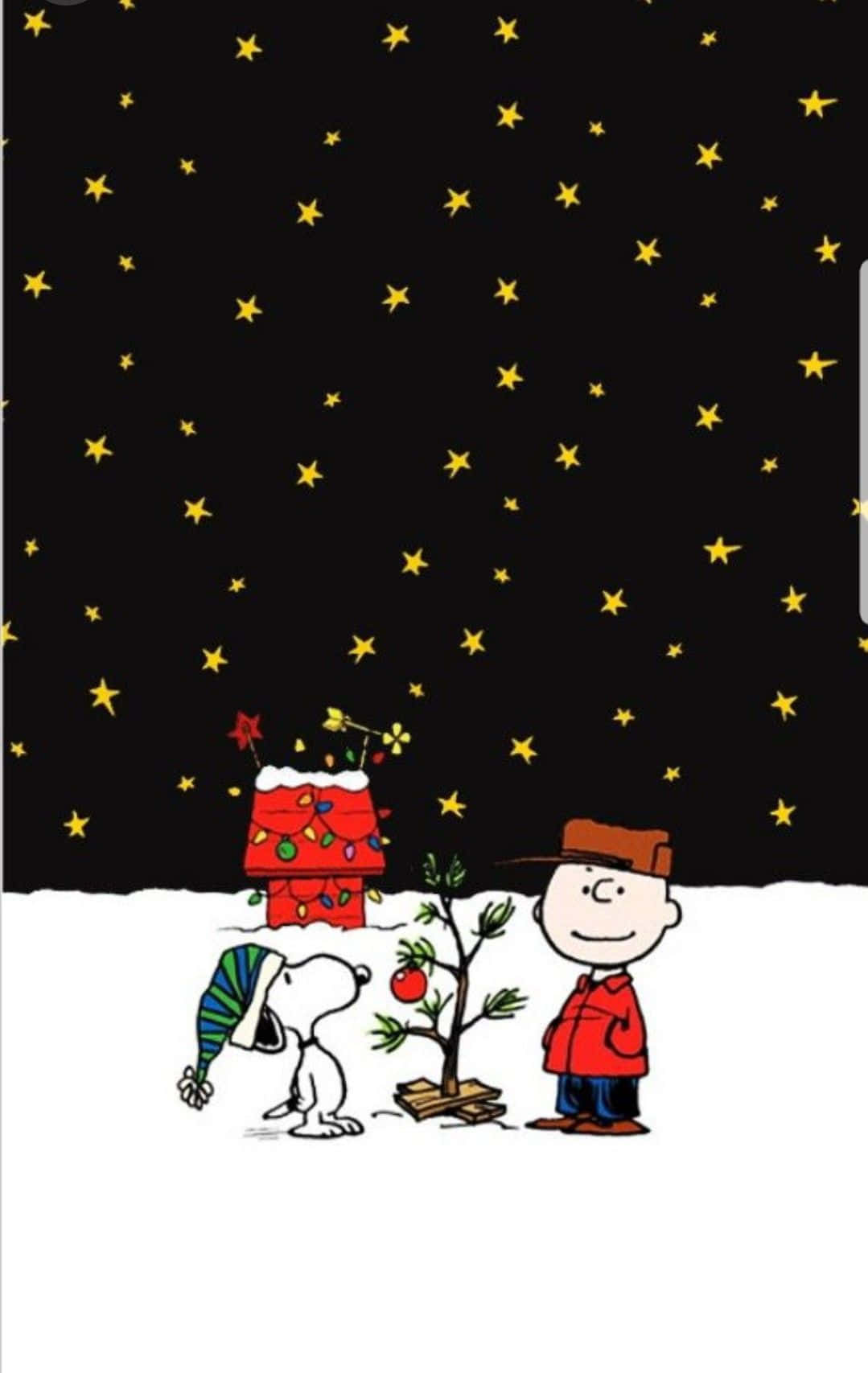 Charlie Brown Starry Christmas Night Background