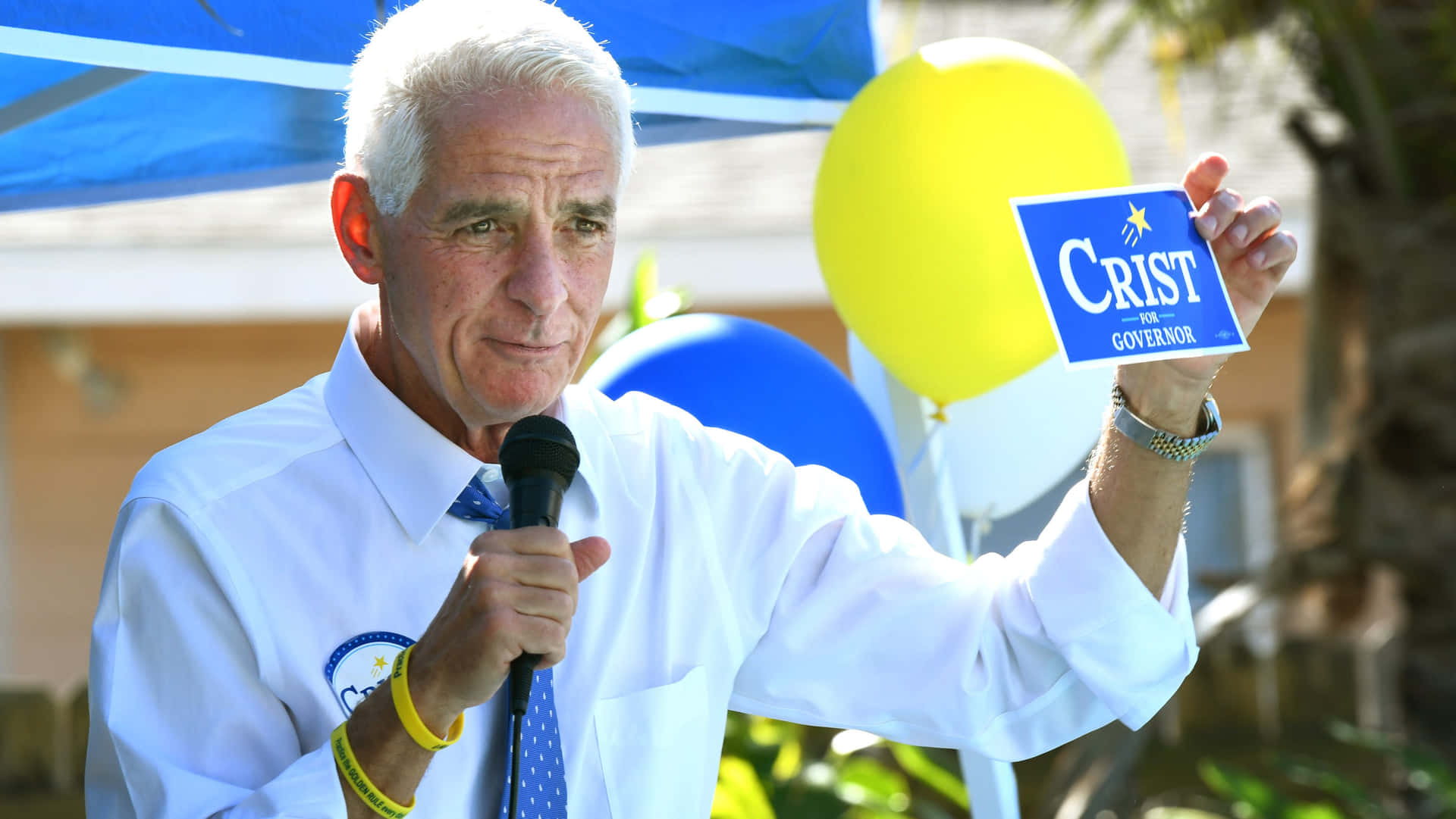 Charlie Crist For Governor Background
