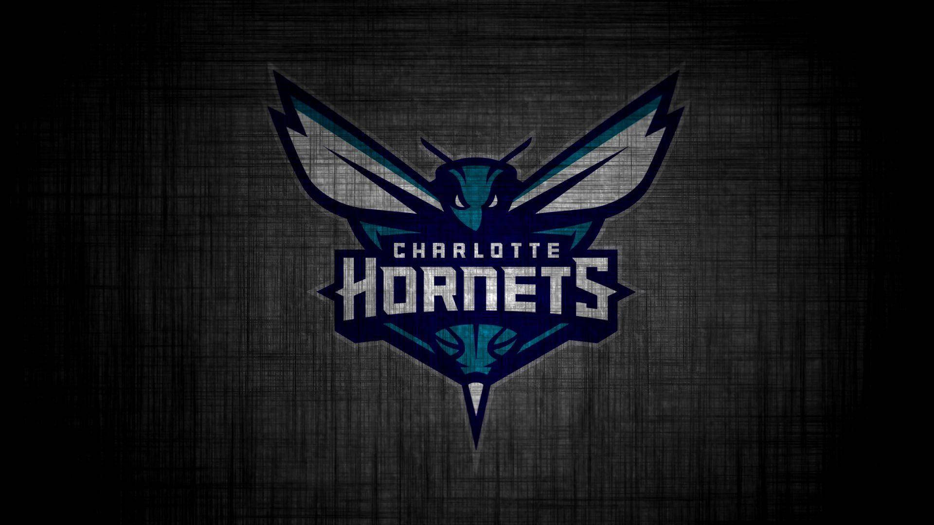 Charlotte Hornets Grayscale Art Background