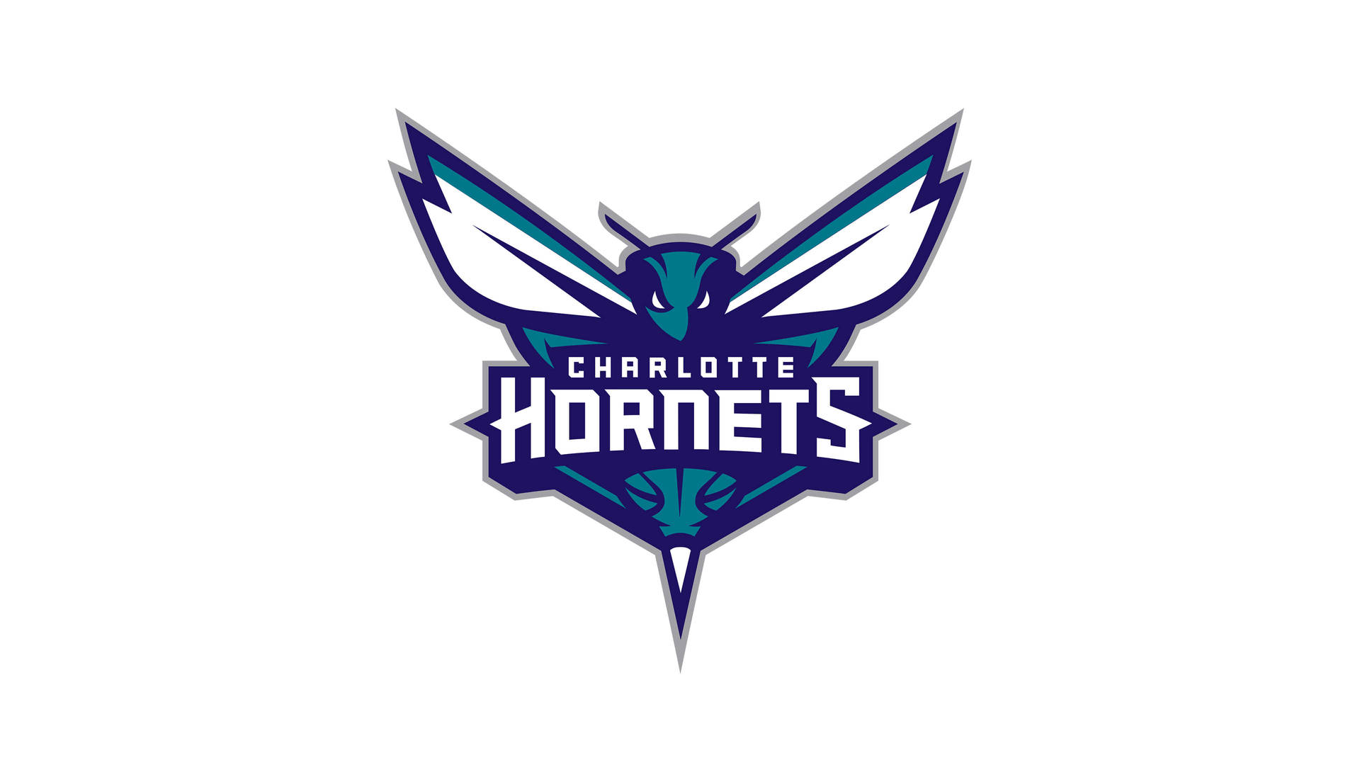 Charlotte Hornets Official Logo Background