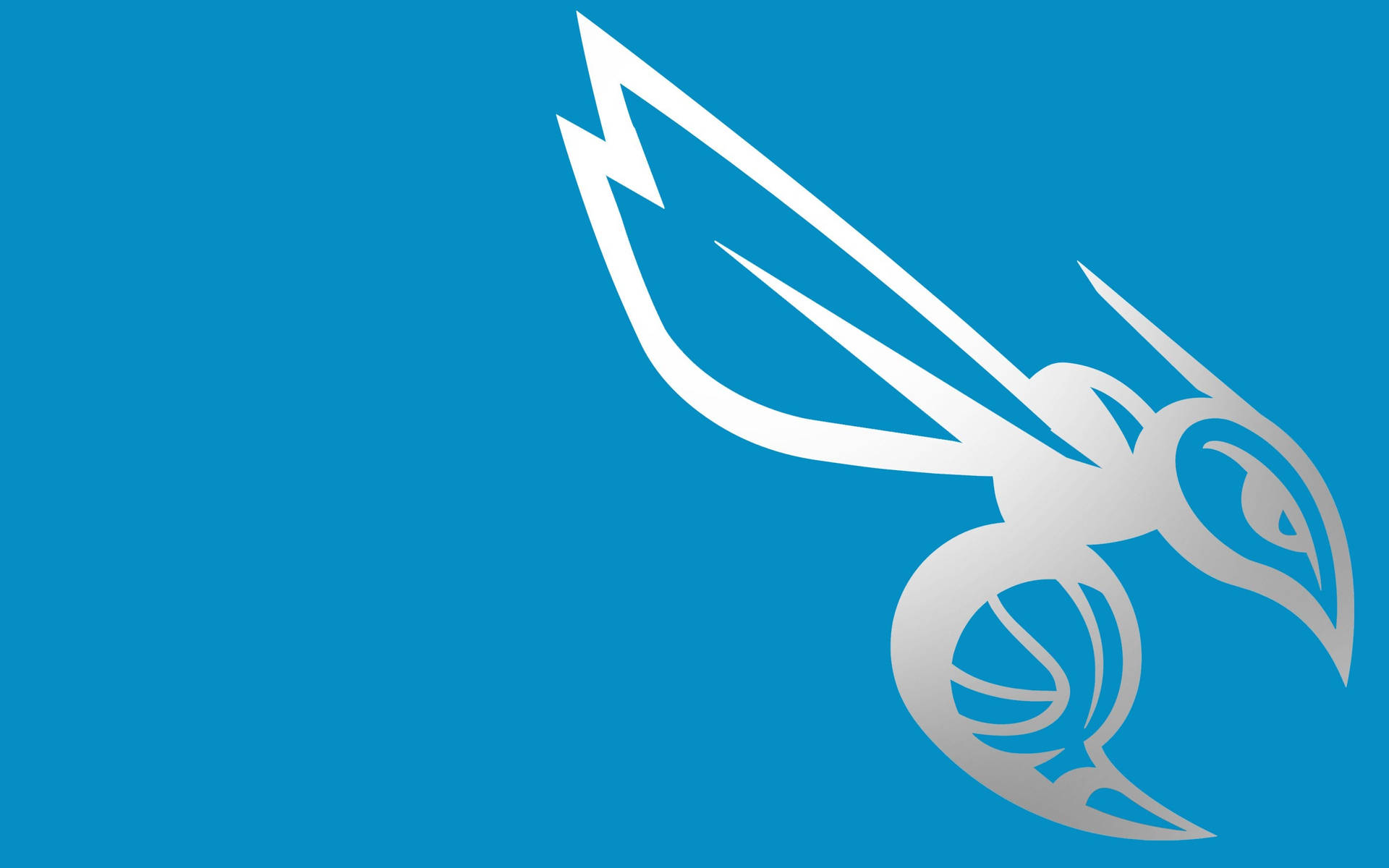 Charlotte Hornets Teal Bug Background
