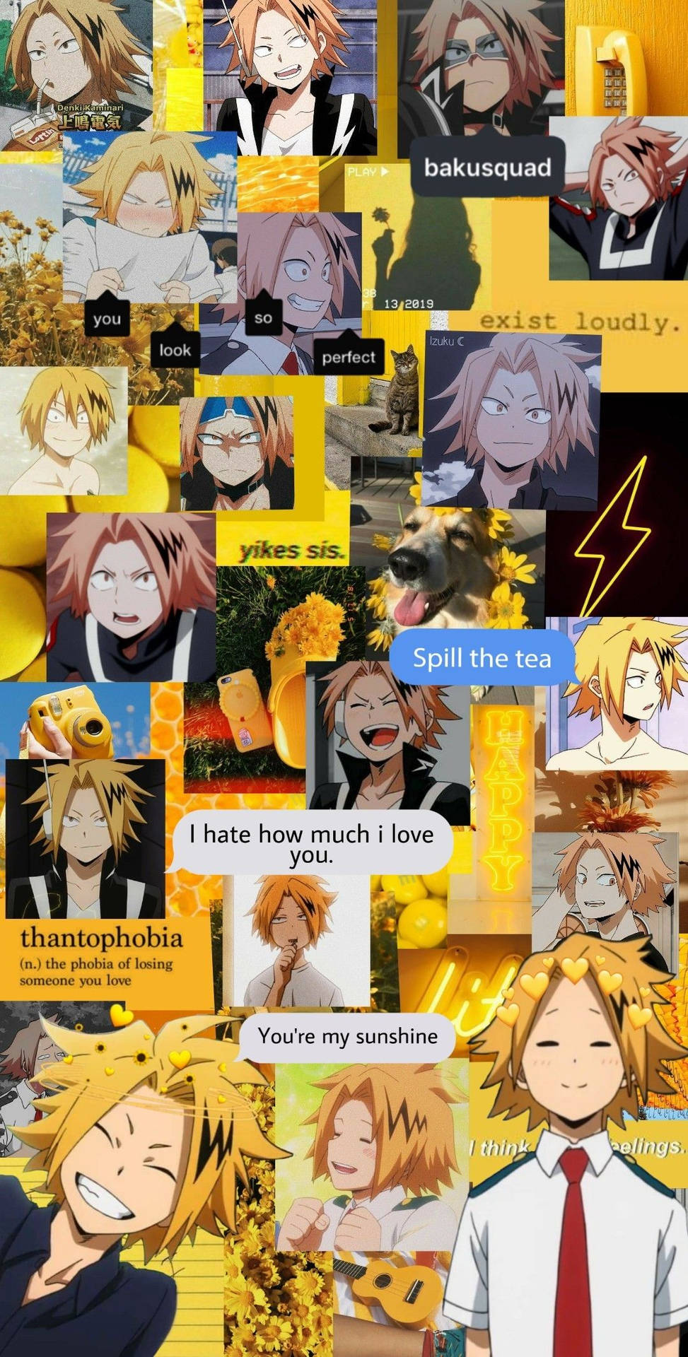 Charming And Playful - The Lovable Denki Background