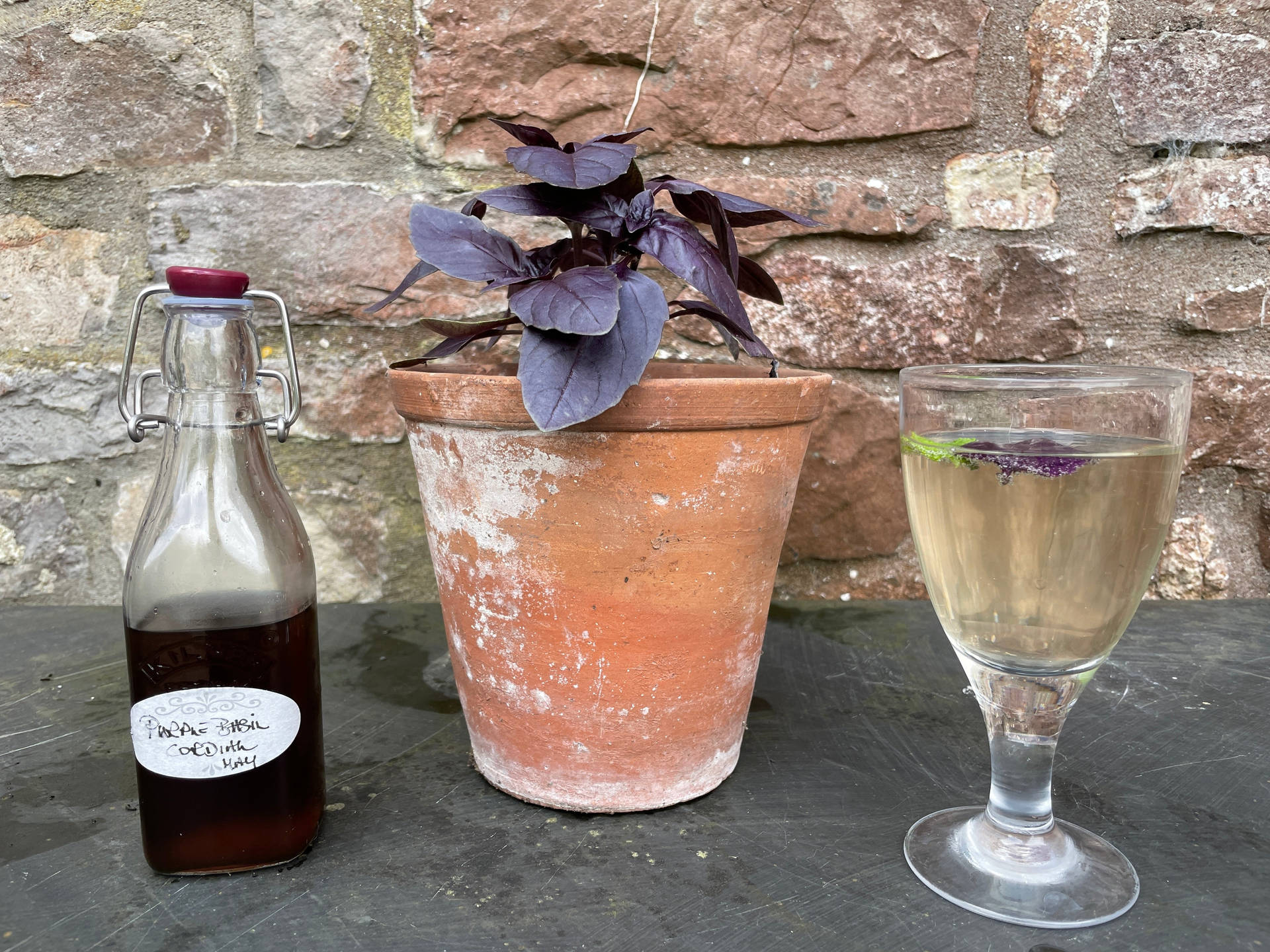 Charming Cordial Bottle Beside Flower Pot