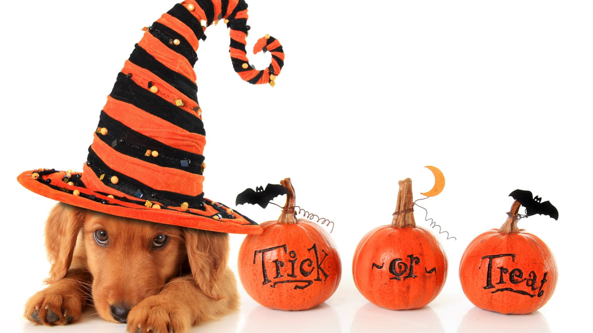 Charming Halloween Desktop Background Background