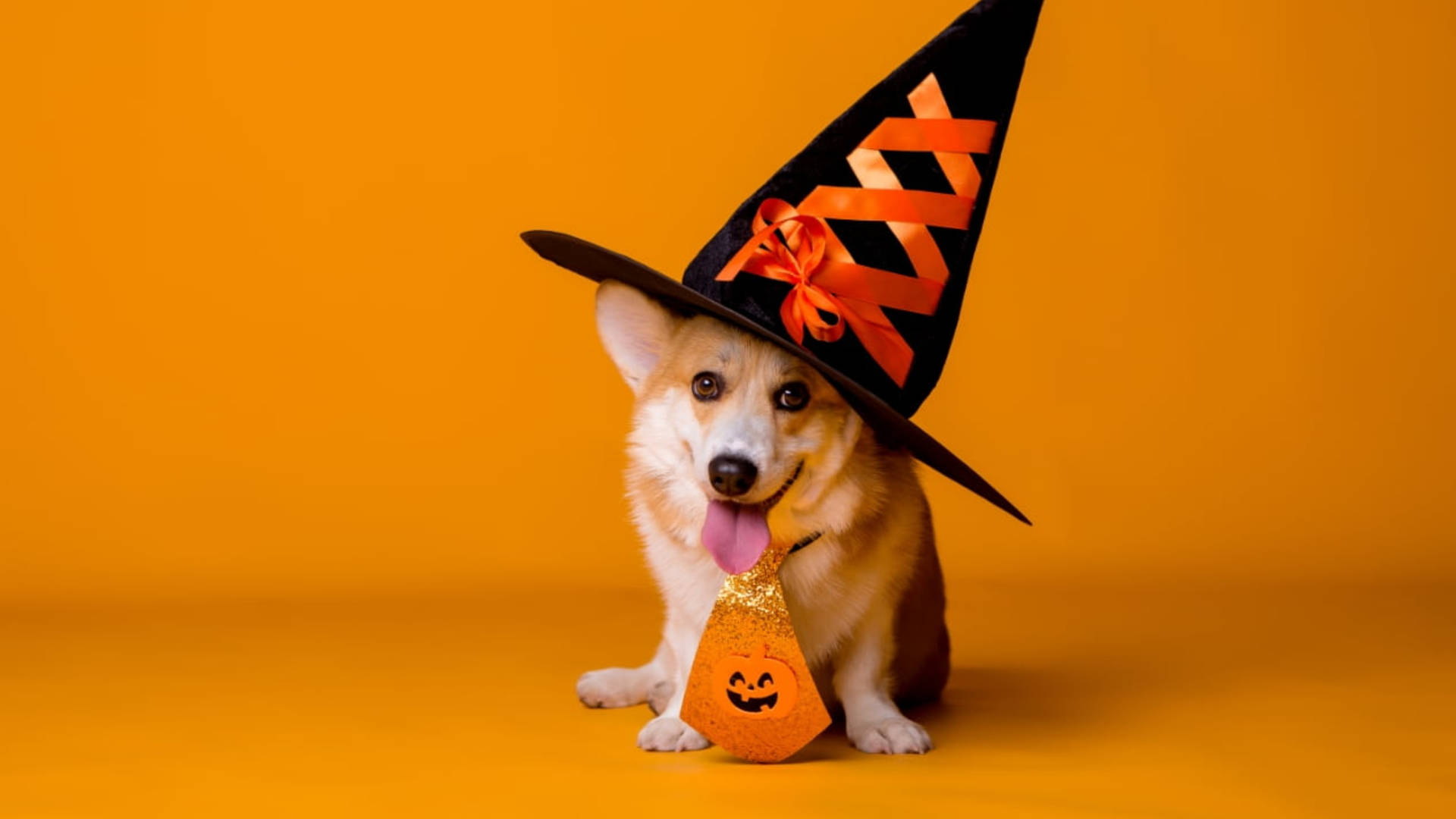 Charming Halloween Themed Desktop Wallpaper Background