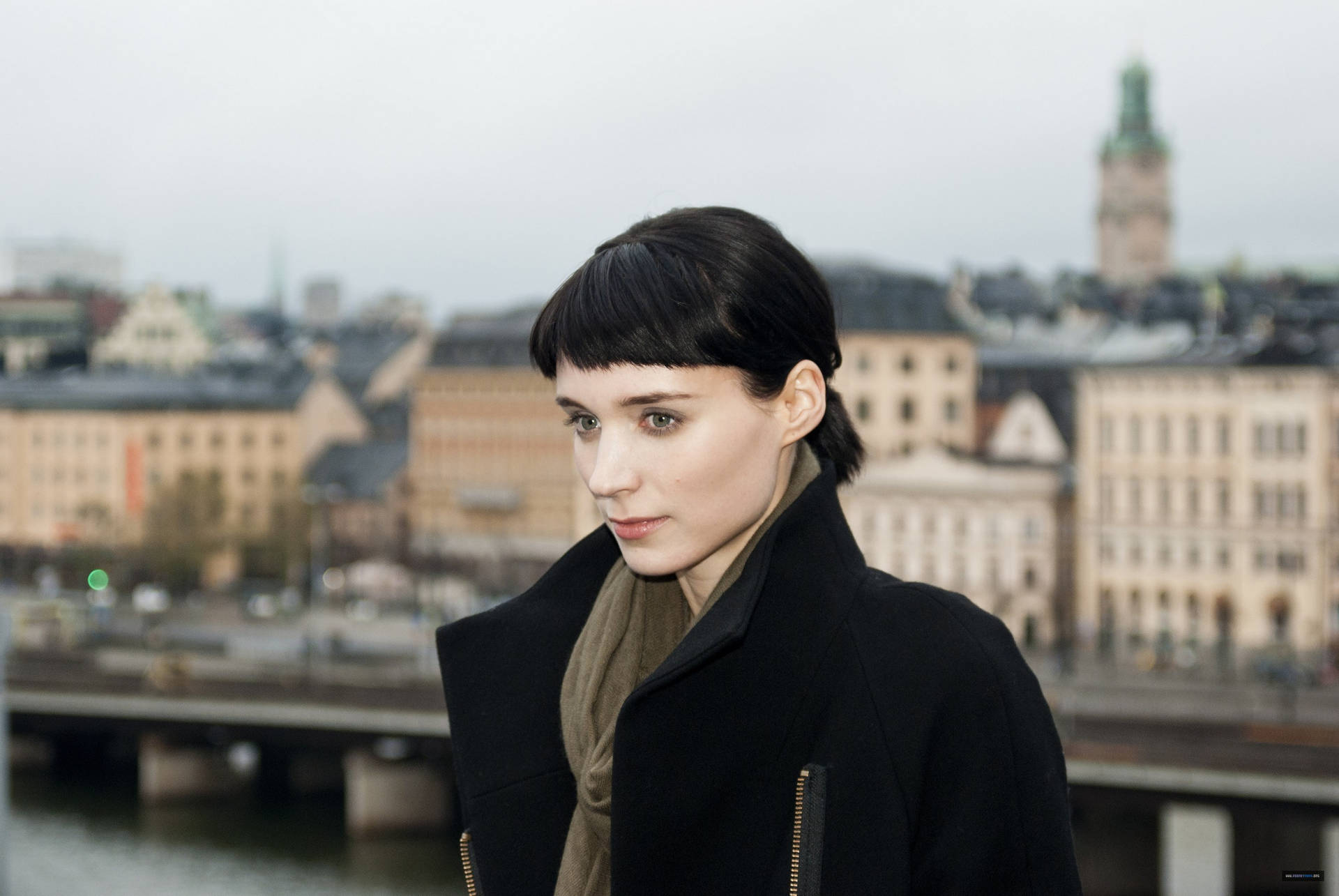 Charming Photo Of Rooney Mara Background