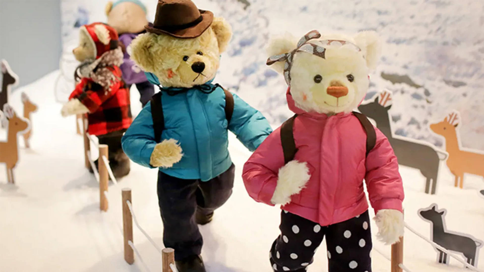 Charming Teddy Bear Museum, Jeju Island Background