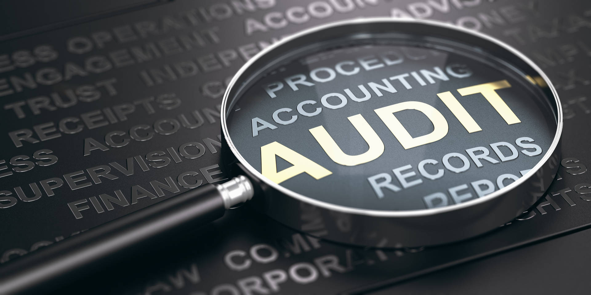 Chartered Accountant Audit Background