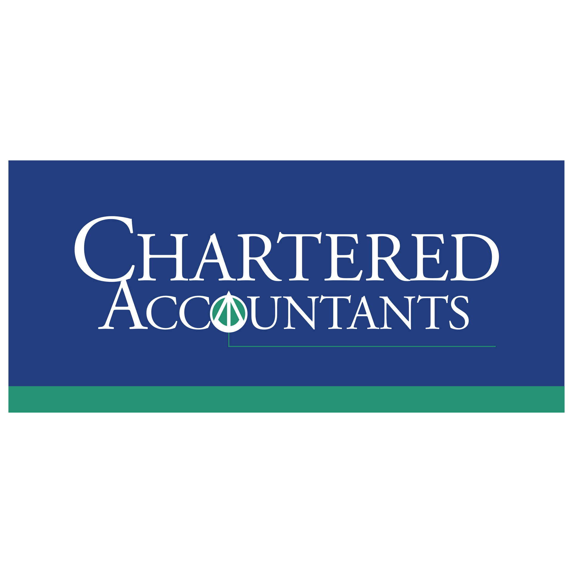 Chartered Accountant Banner