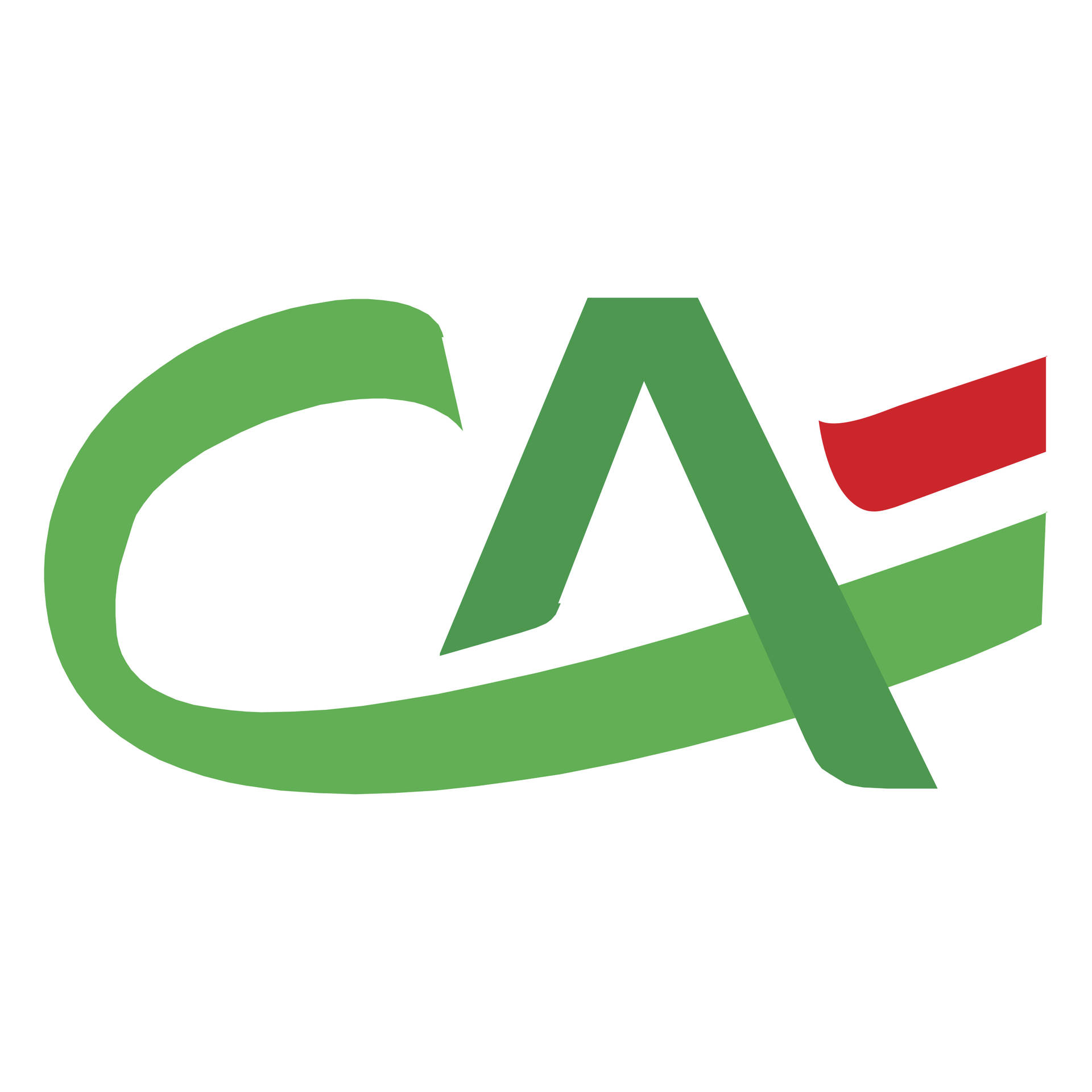 Chartered Accountant Logo