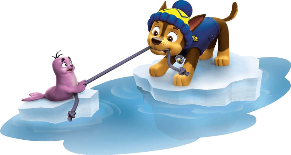 Chase Paw Patrol Playing With A Seal Background