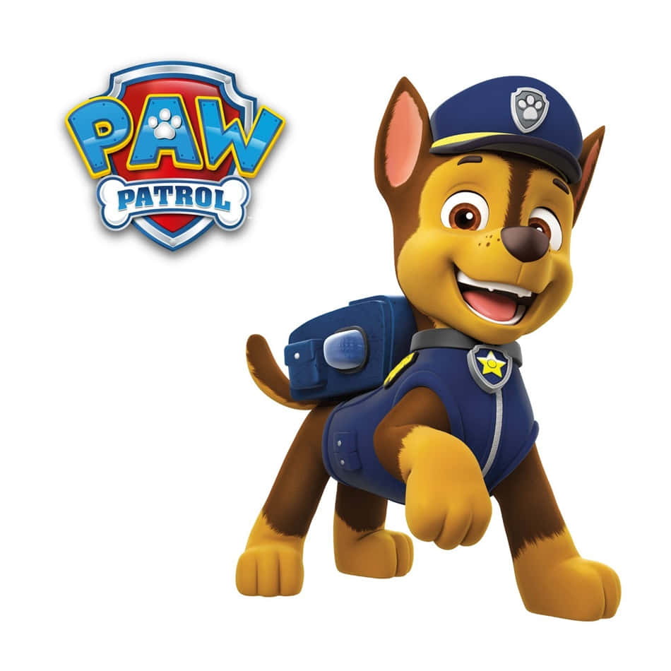 Chase The Police Dog From Paw Patrol Keeping An Eye Out Background