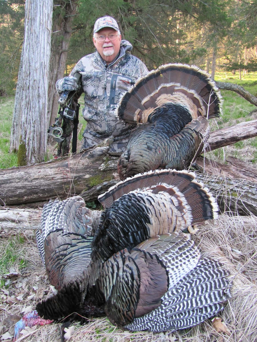 Chasing Gobblers In The Early Morning Background