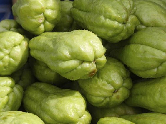 Chayote Healthy Vegetables