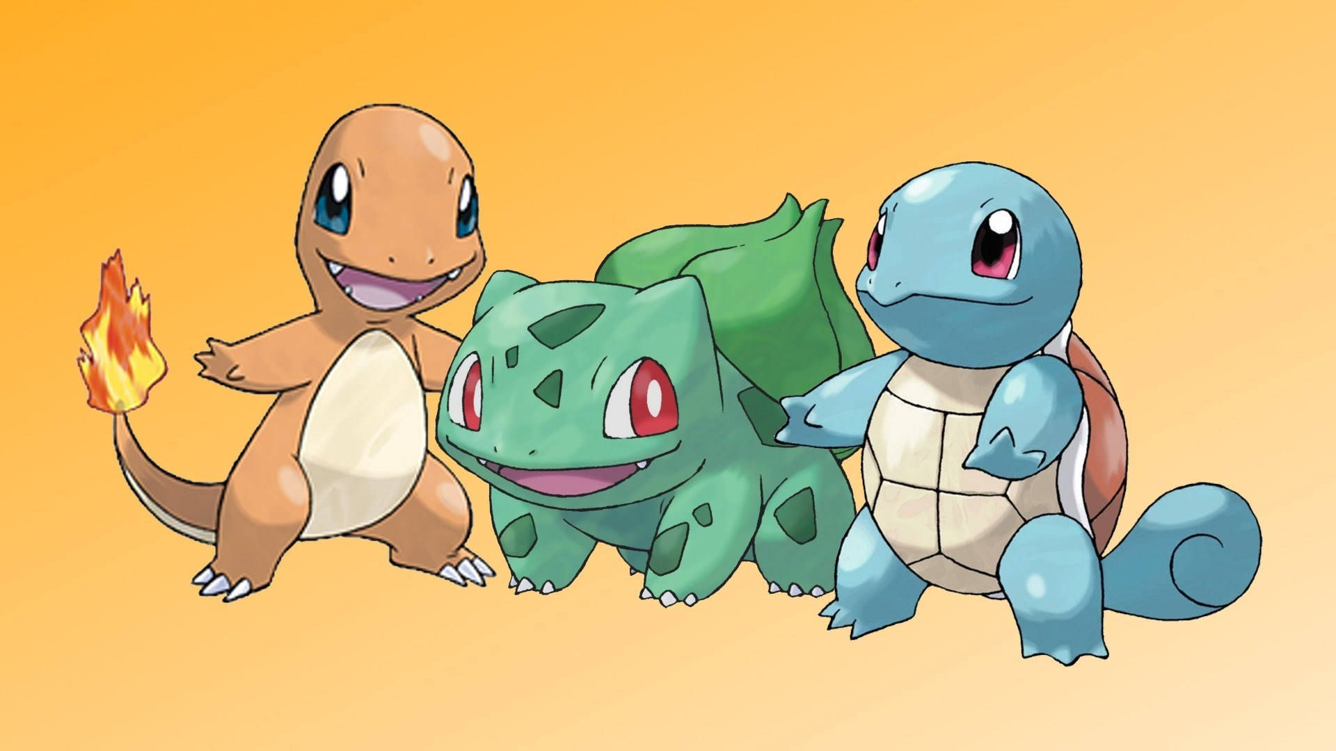 Check Out This Adorable Baby Squirtle! Background