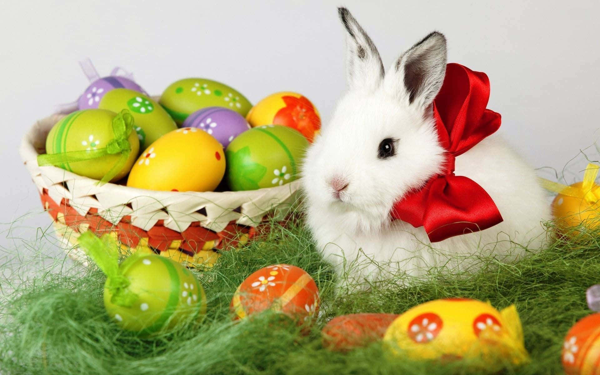 Check Out This Adorable Bunny With An Iphone Background