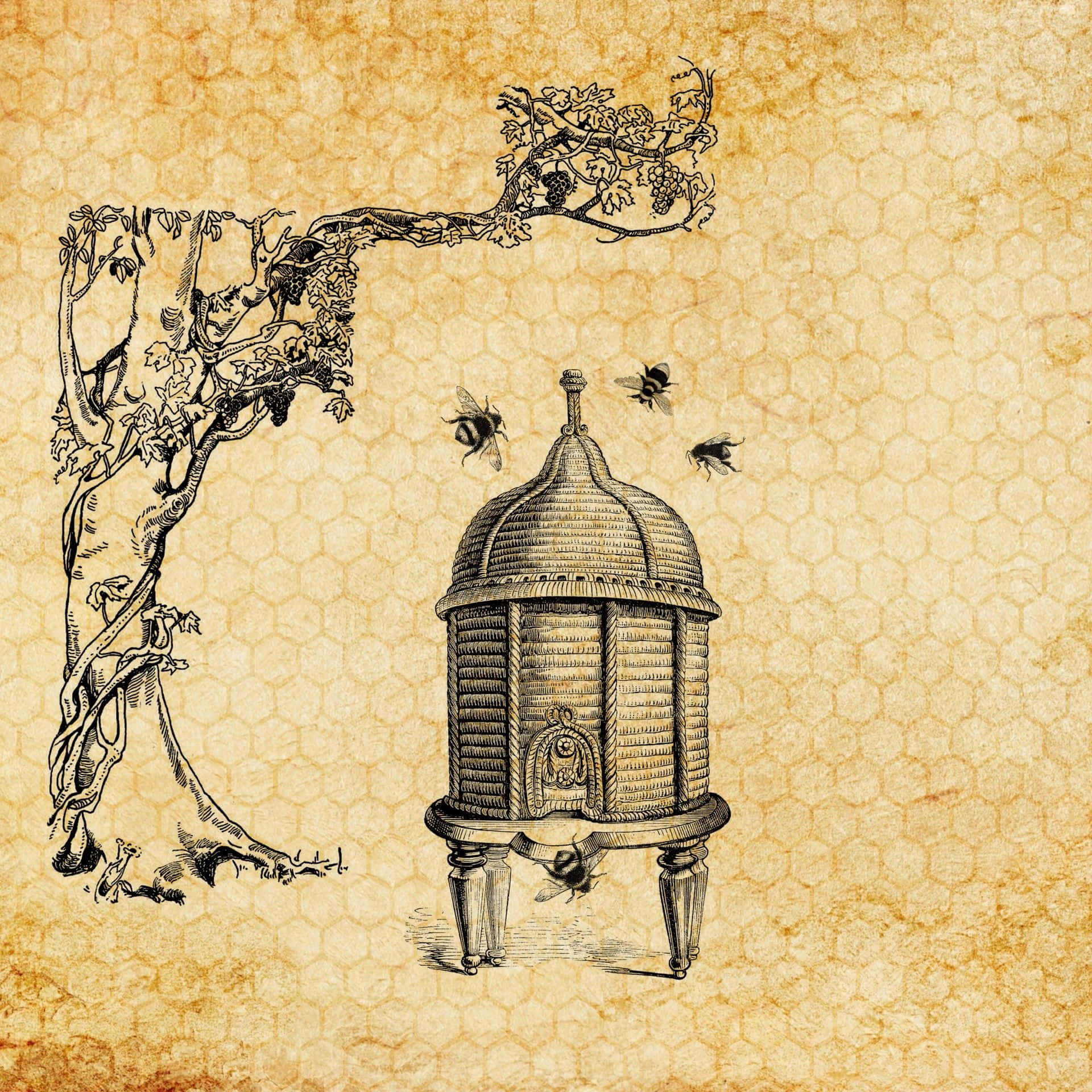 Check Out This Vintage Bee Background