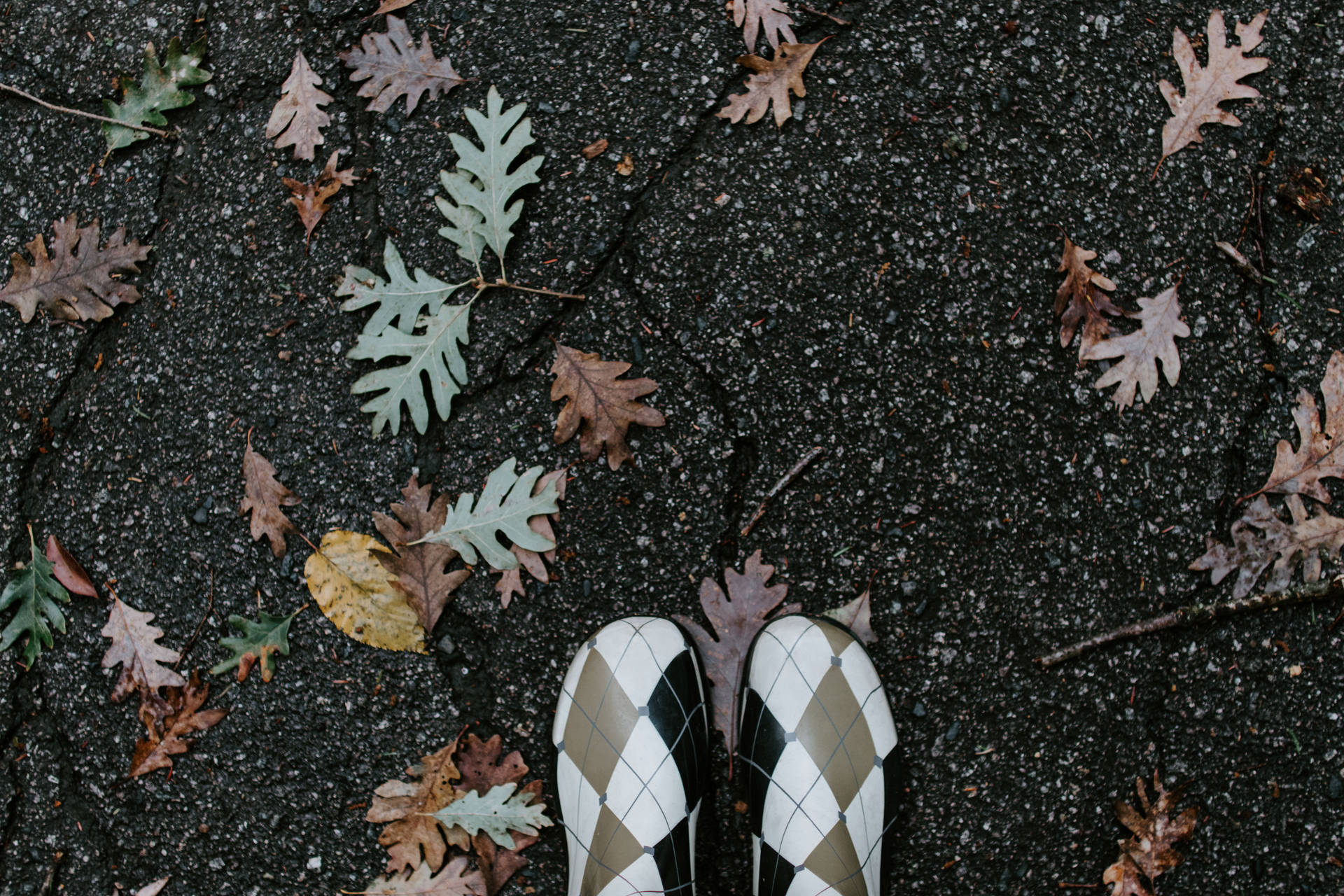 Checkered Shoes On Ground Background