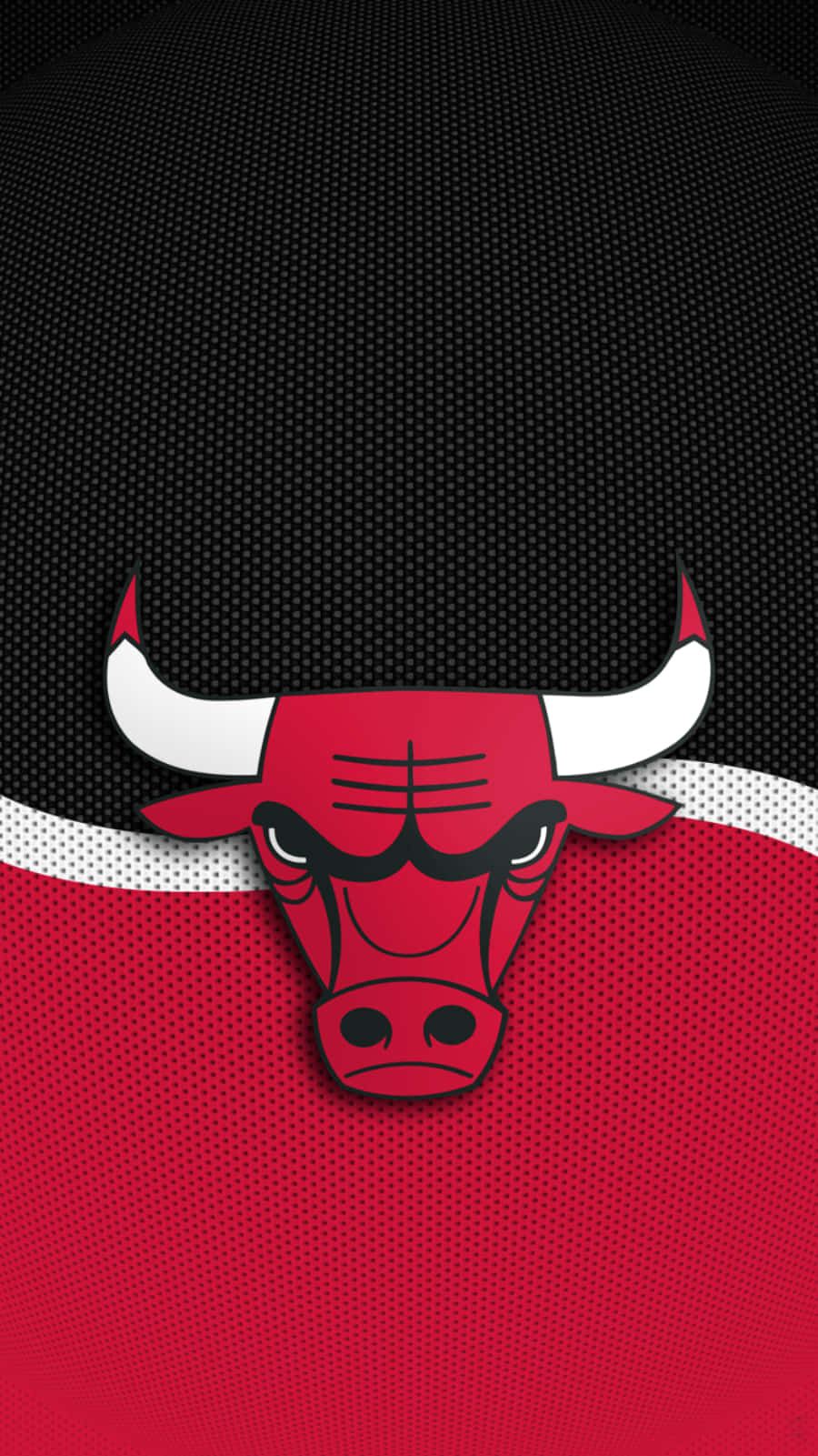 Cheer On The Bulls Anytime, Anywhere
