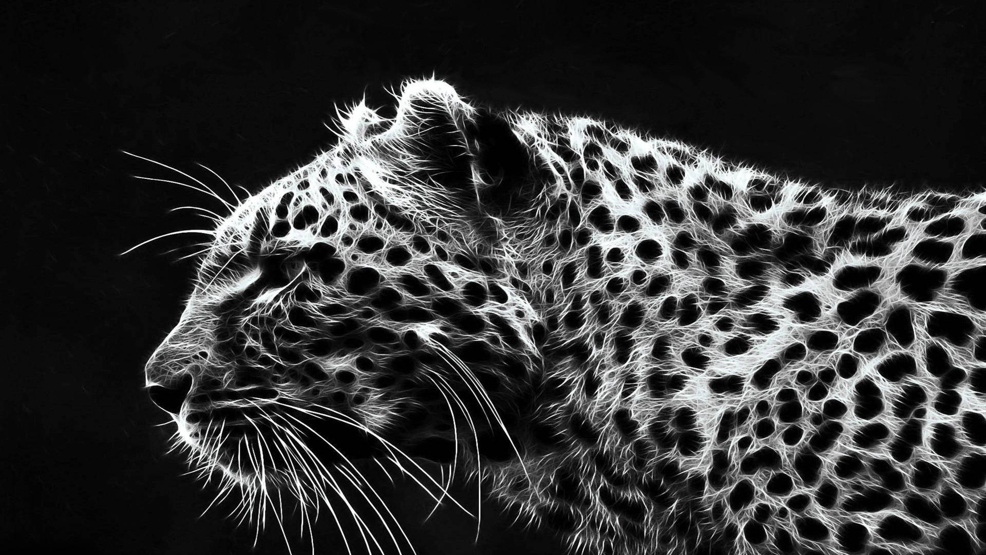 Cheetah Black And White Art Background