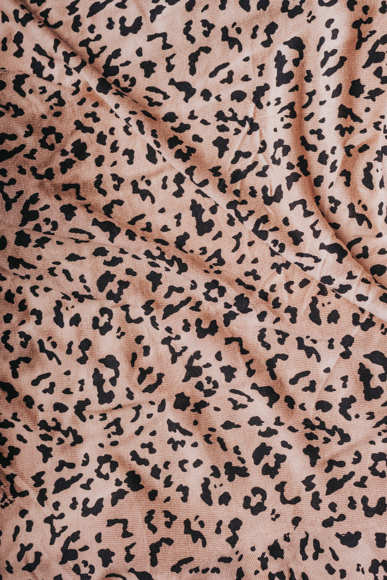 Cheetah Printed Blanket Background