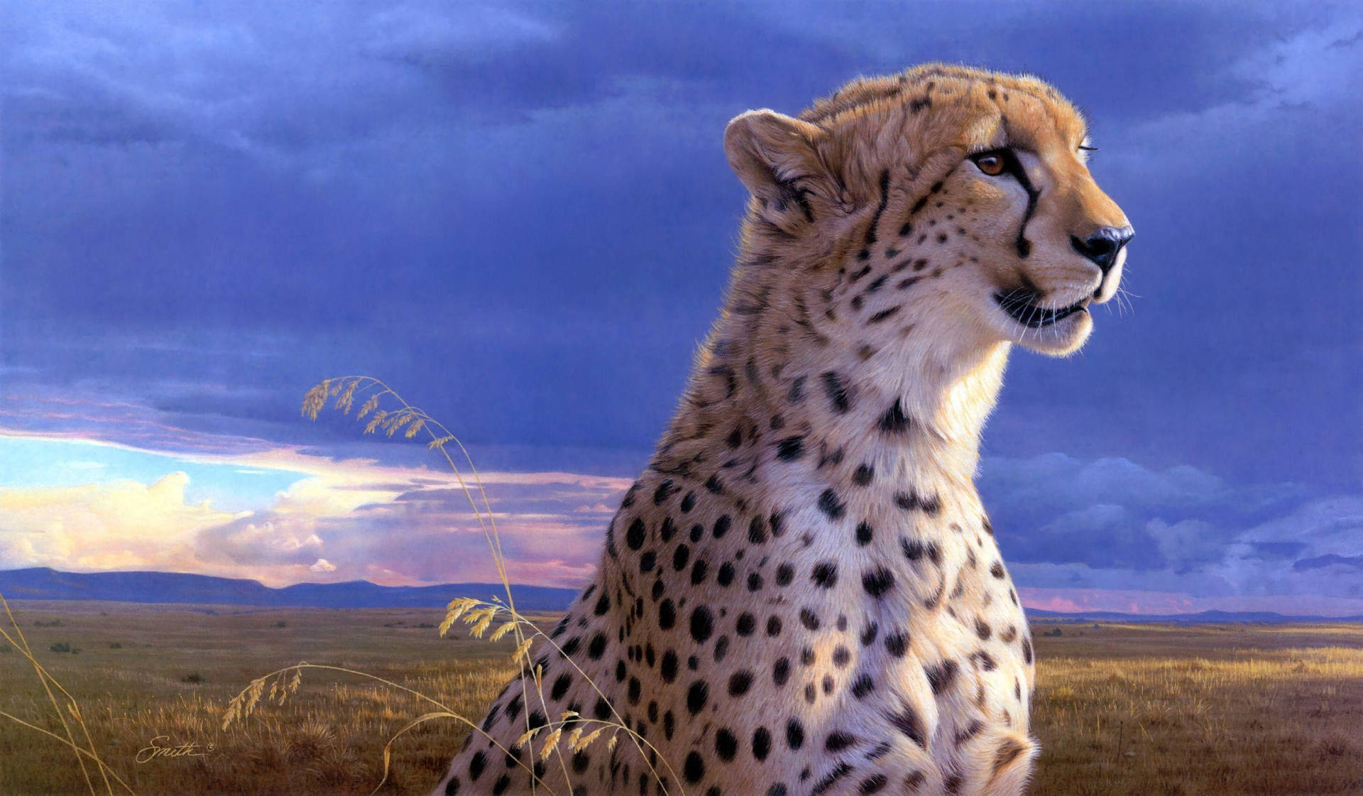 Cheetah With Purple Sky Background Background