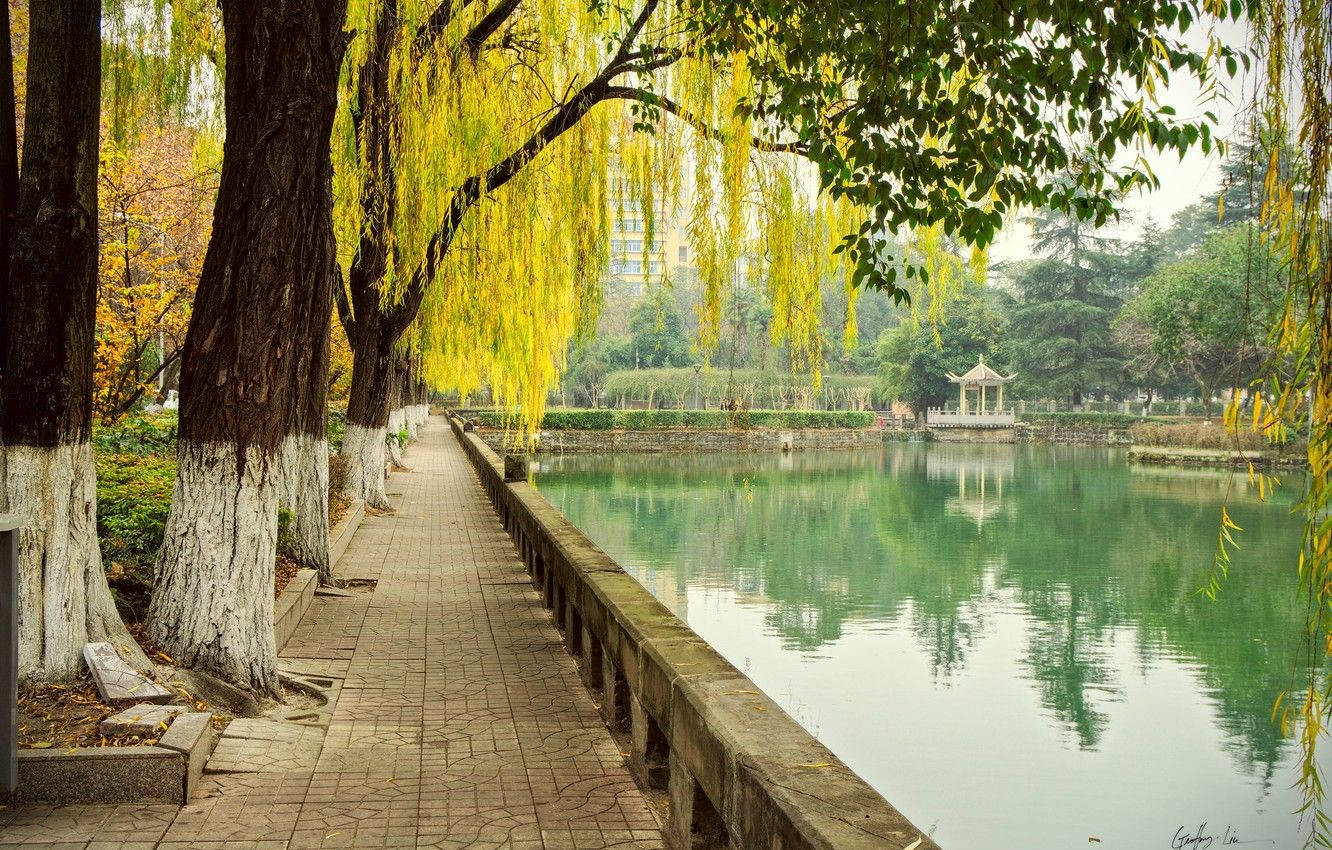 Chengdu Nature Scenery Background