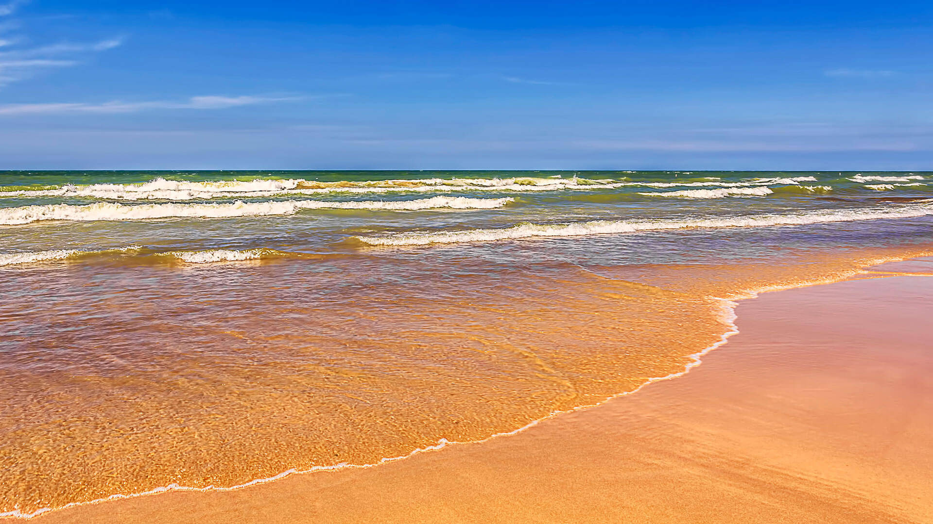 Chennai Breezy Beach Background