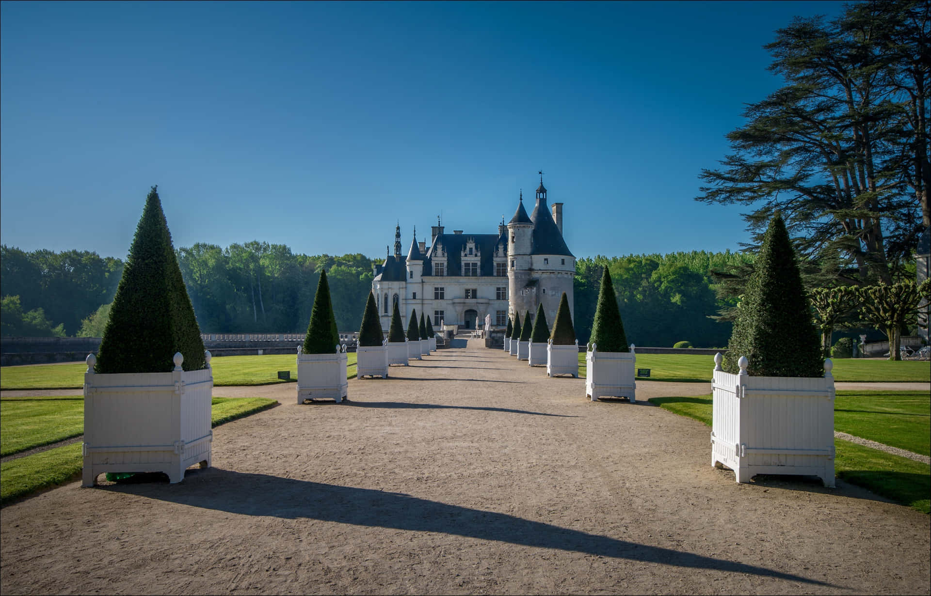 Chenonceau Topiary Background