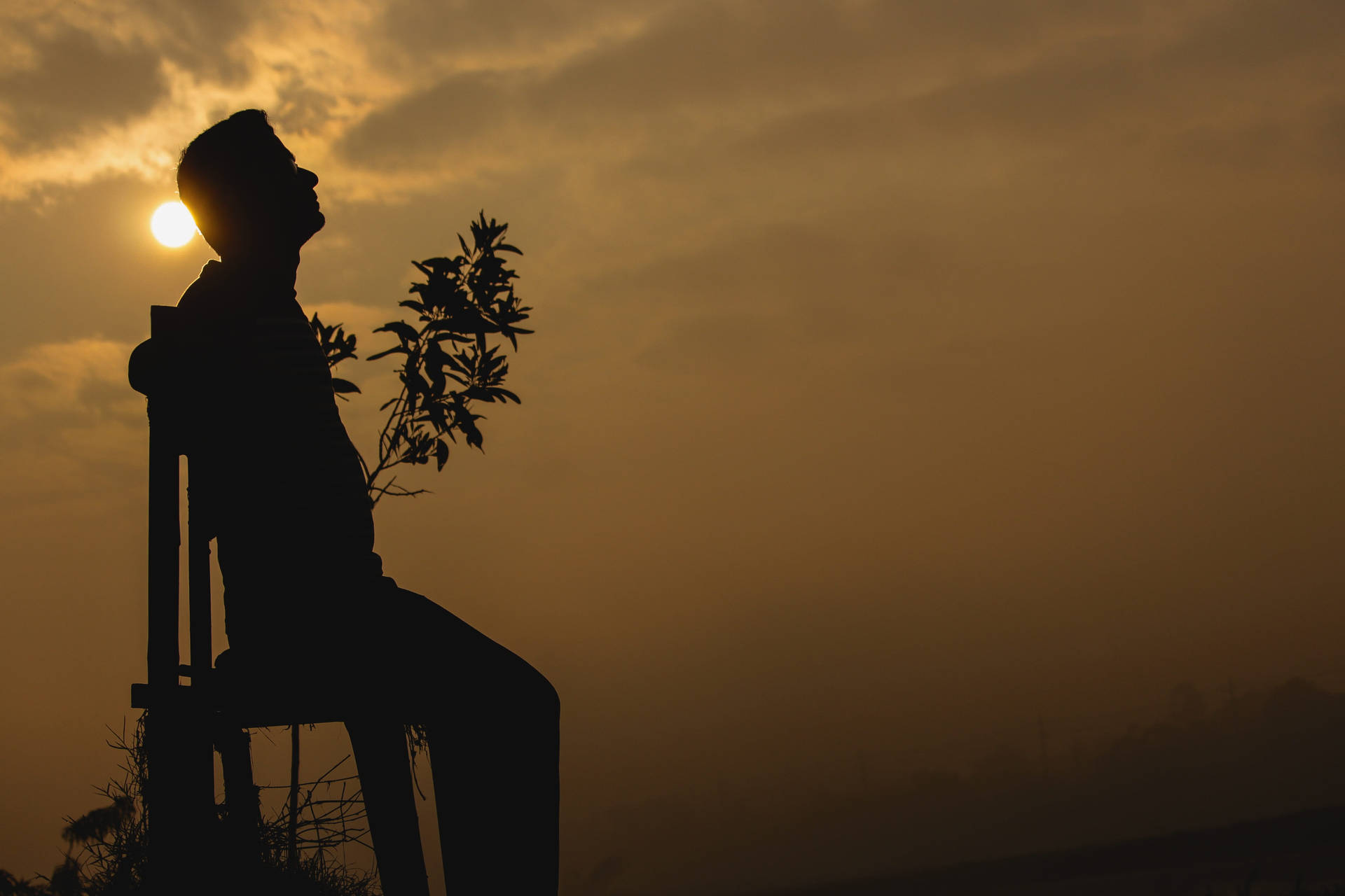 Cherishing Solitude In A Golden Afternoon Background