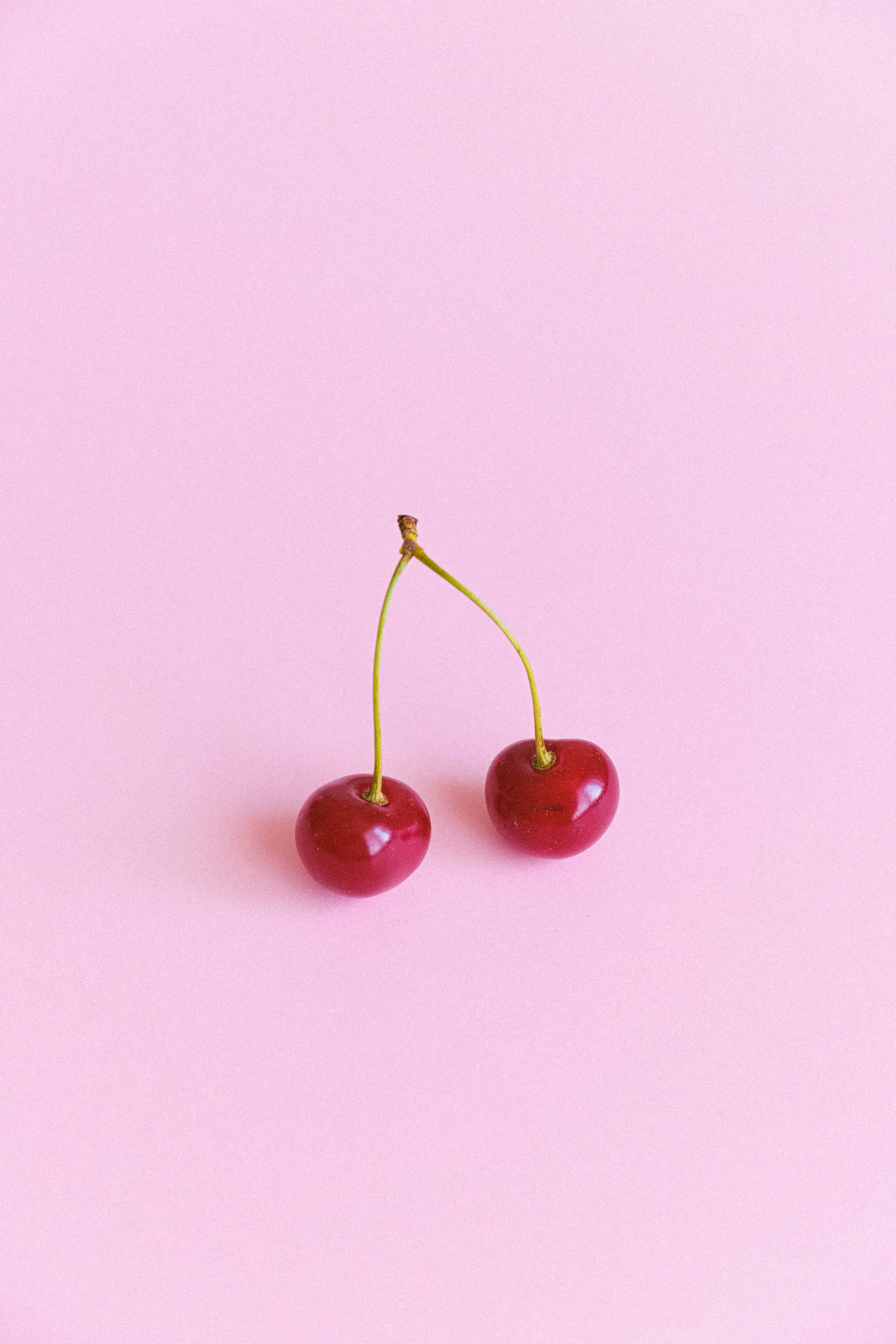 Cherries On Pink Background Background