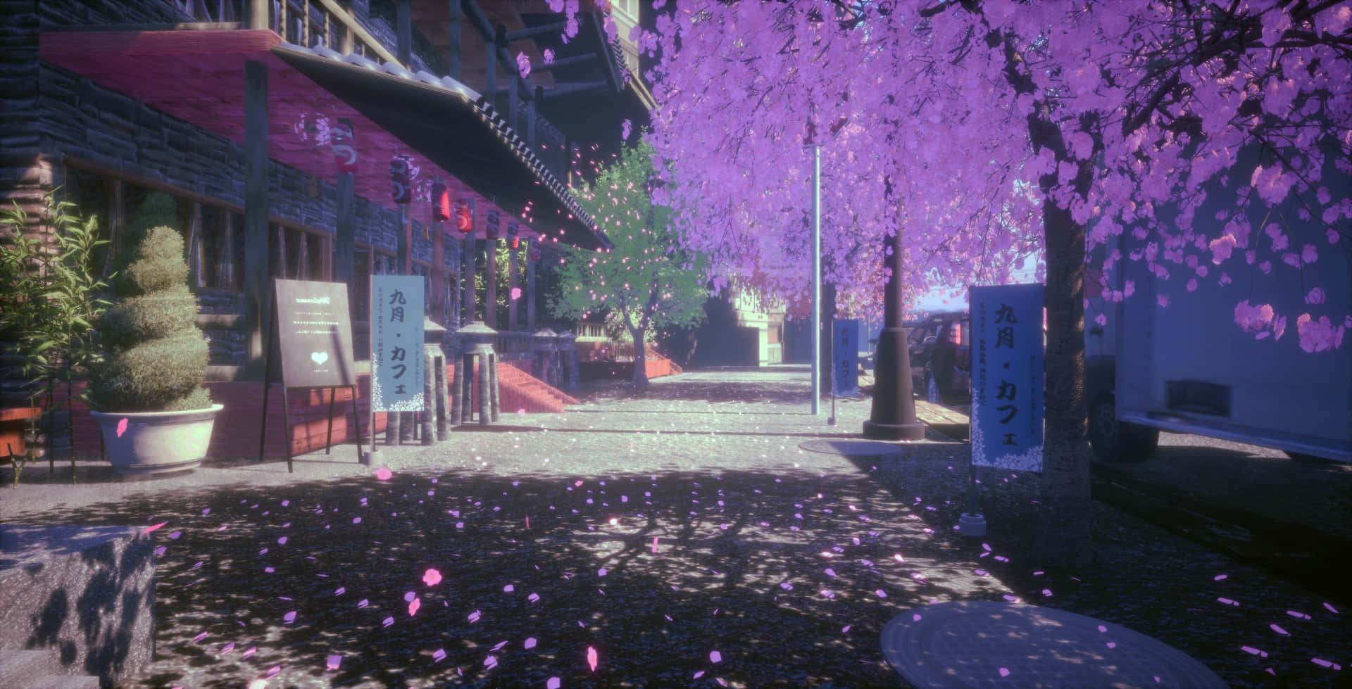 Cherry Blossom Alleyway.jpg Background