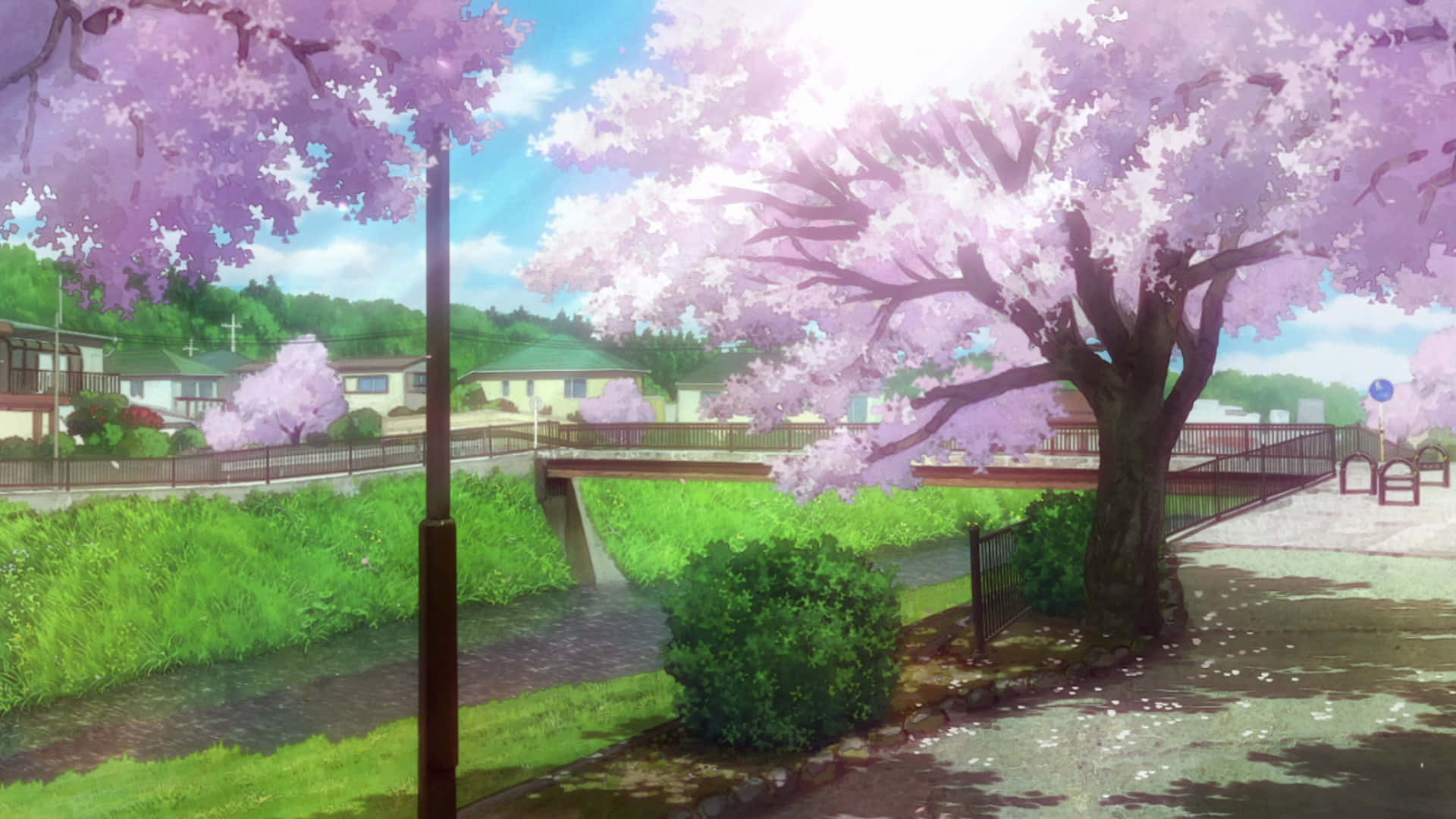 Cherry Blossom Bliss Anime Scene.jpg Background