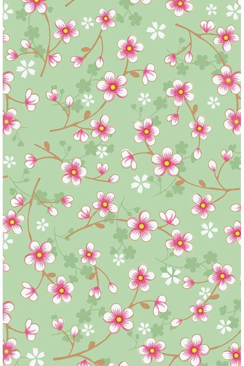 Cherry Blossom Branches Background