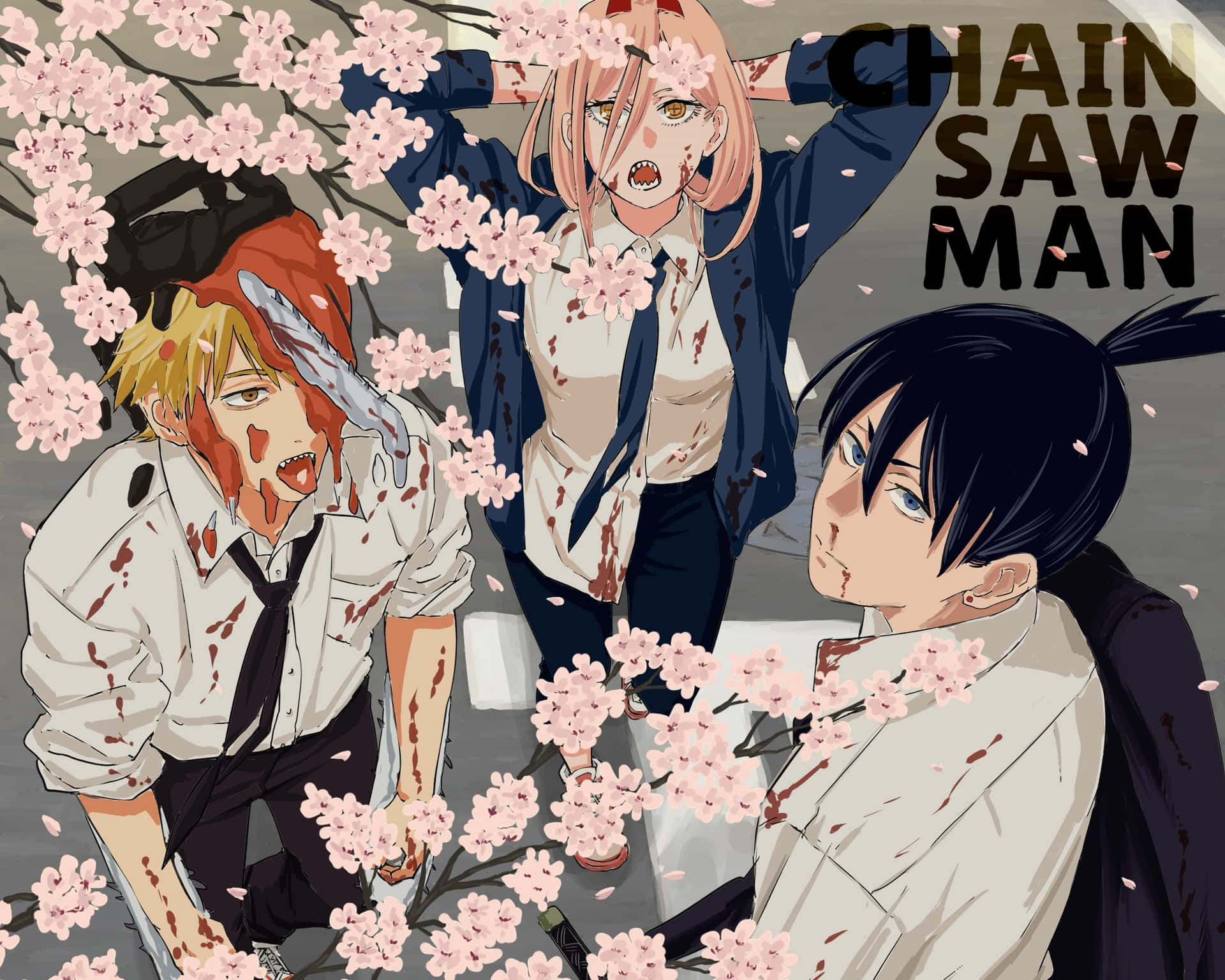 Cherry Blossom Chainsaw Man Pfp Background