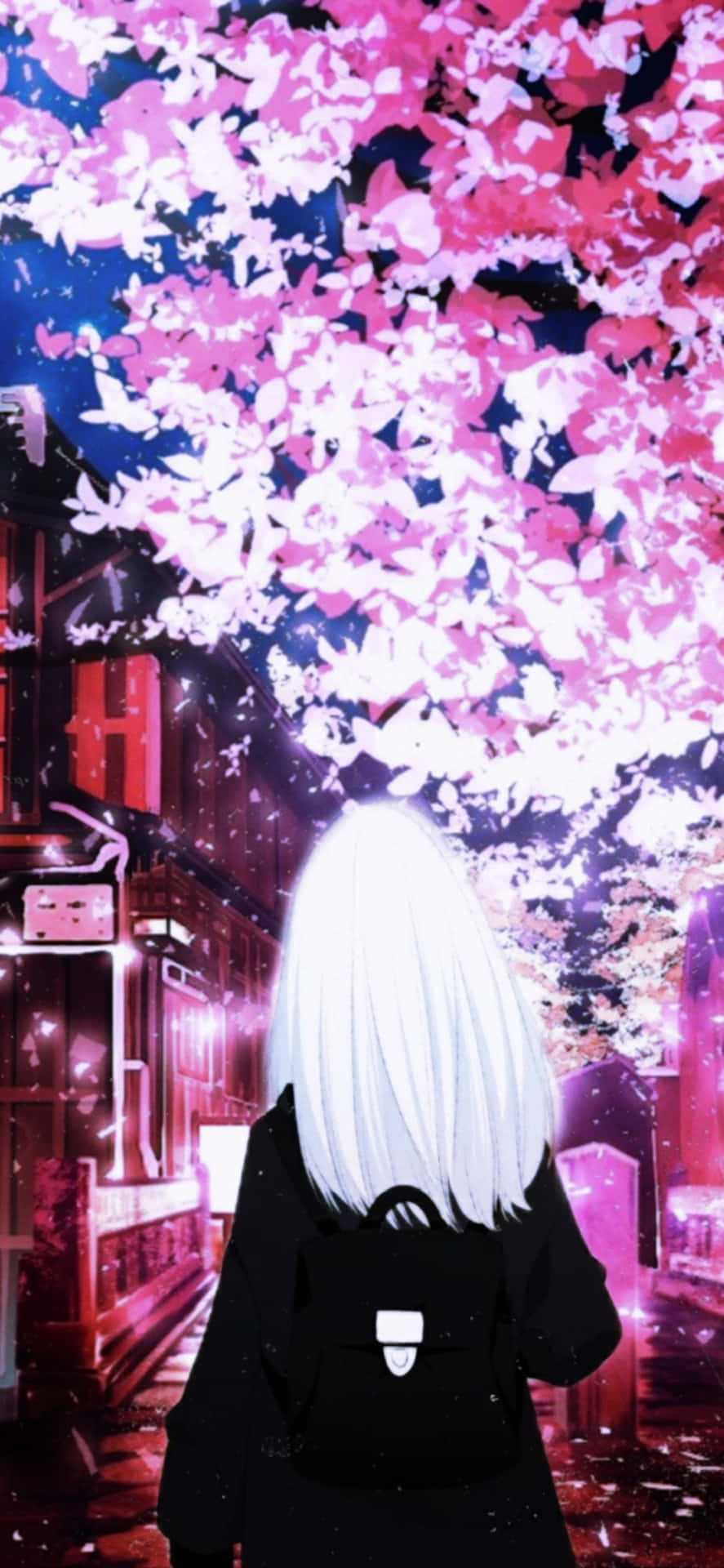 Cherry_ Blossom_ Night_ Anime_ Character Background