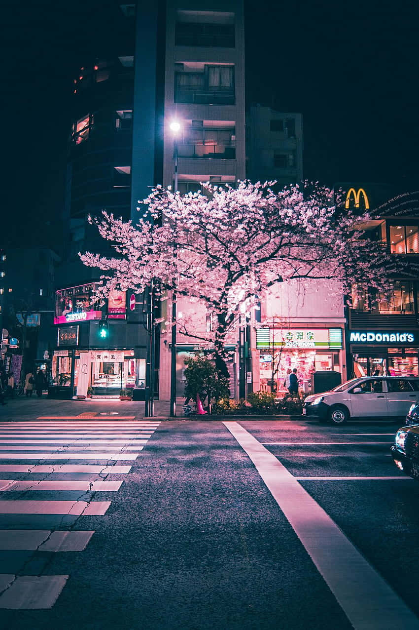 Cherry Blossom Night Cityscape.jpg Background
