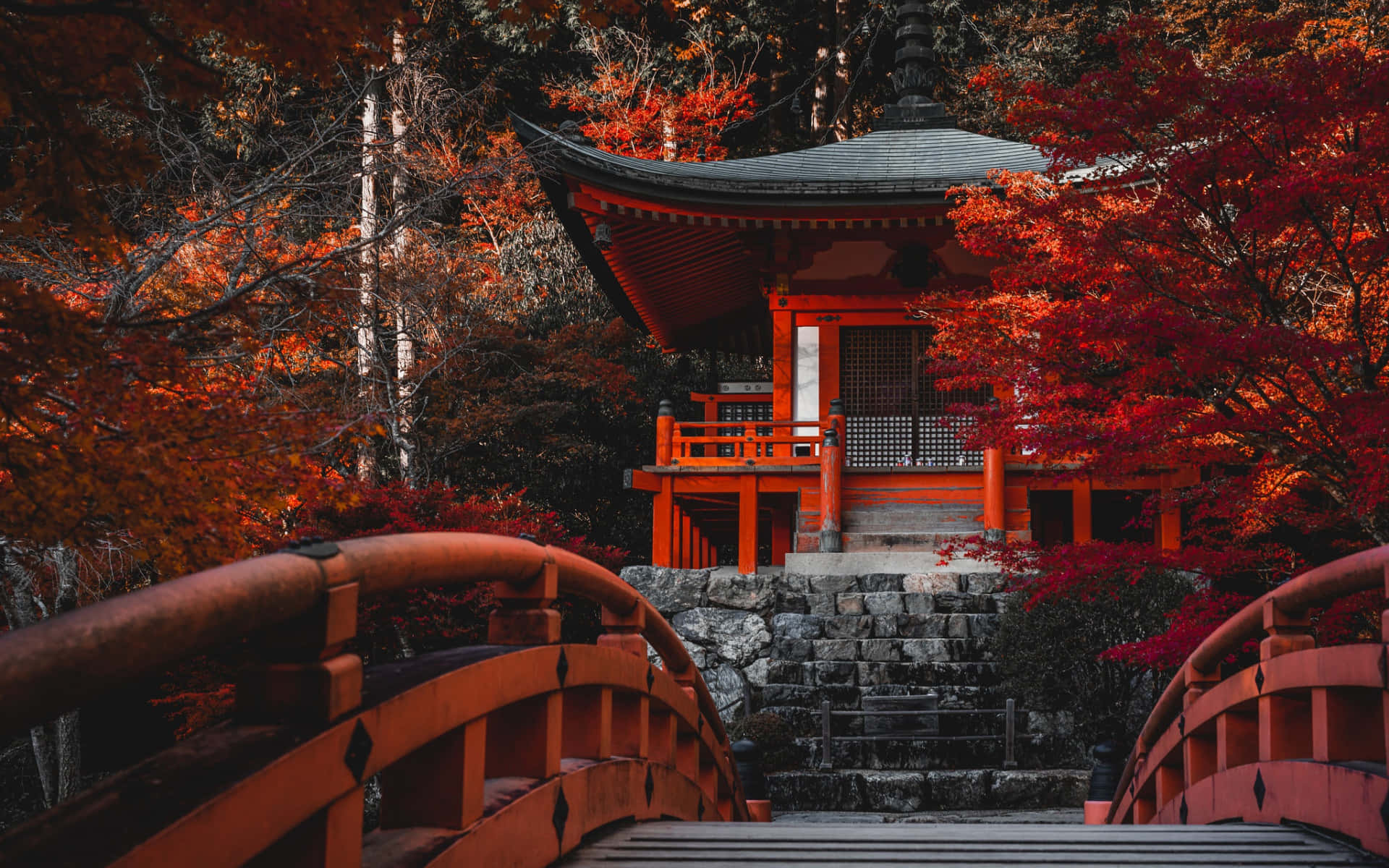 Cherry Blossom On Red Japanese Shrine Background