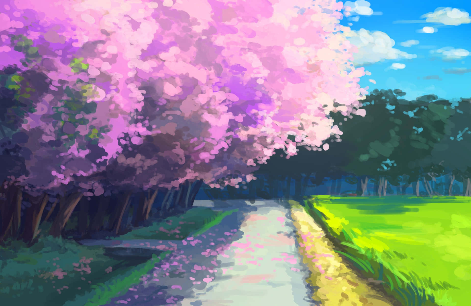 Cherry Blossom Pathway Anime Scene Background
