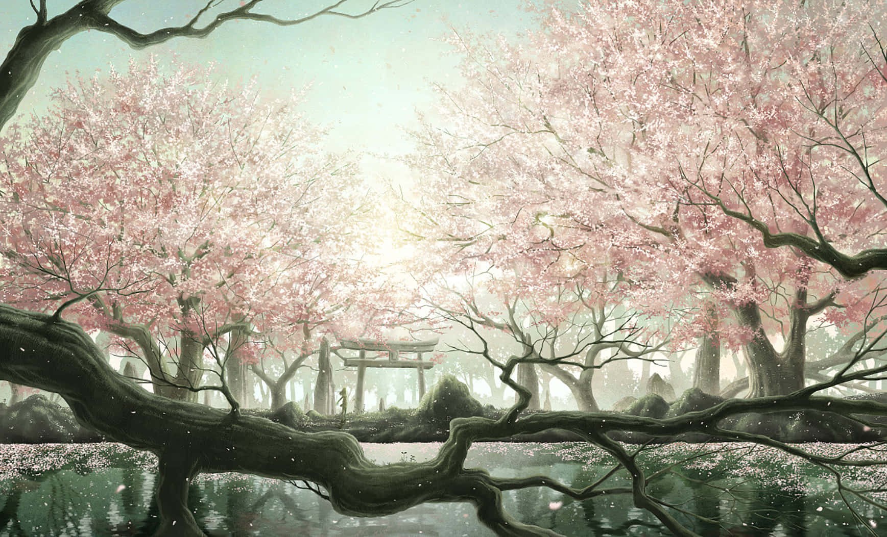 Cherry Blossom Sanctuary Anime Art Background