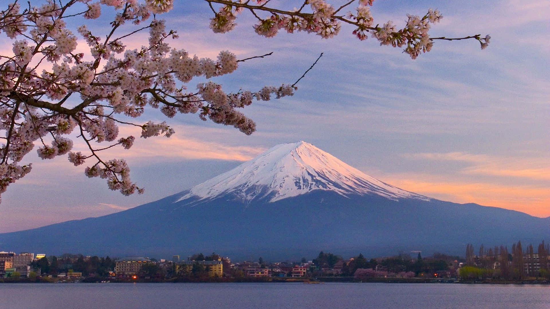 Cherry Blossom Tree Mountain Scenery Background